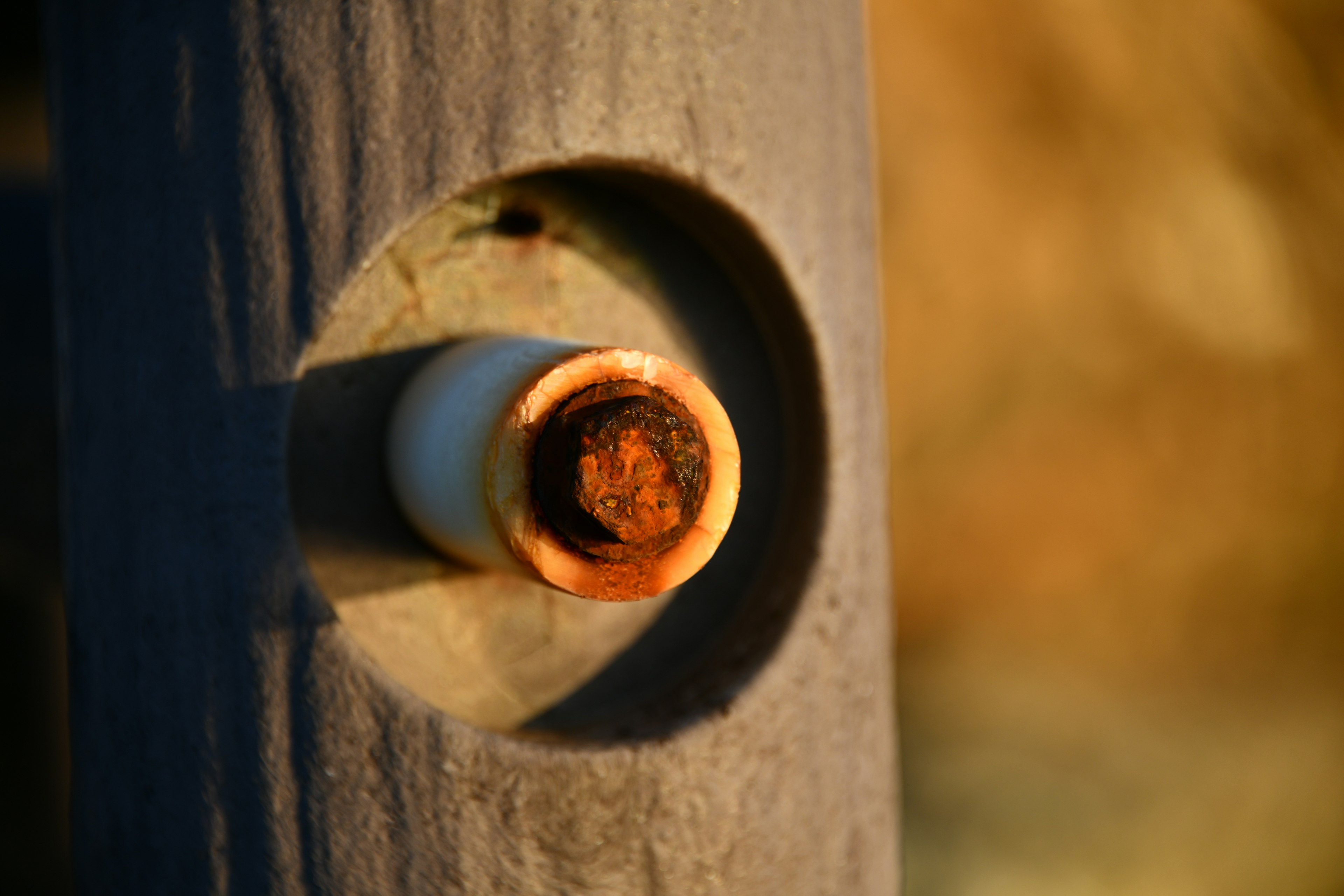 Close-up of a wooden post with a circular hole and a white cylindrical object inside