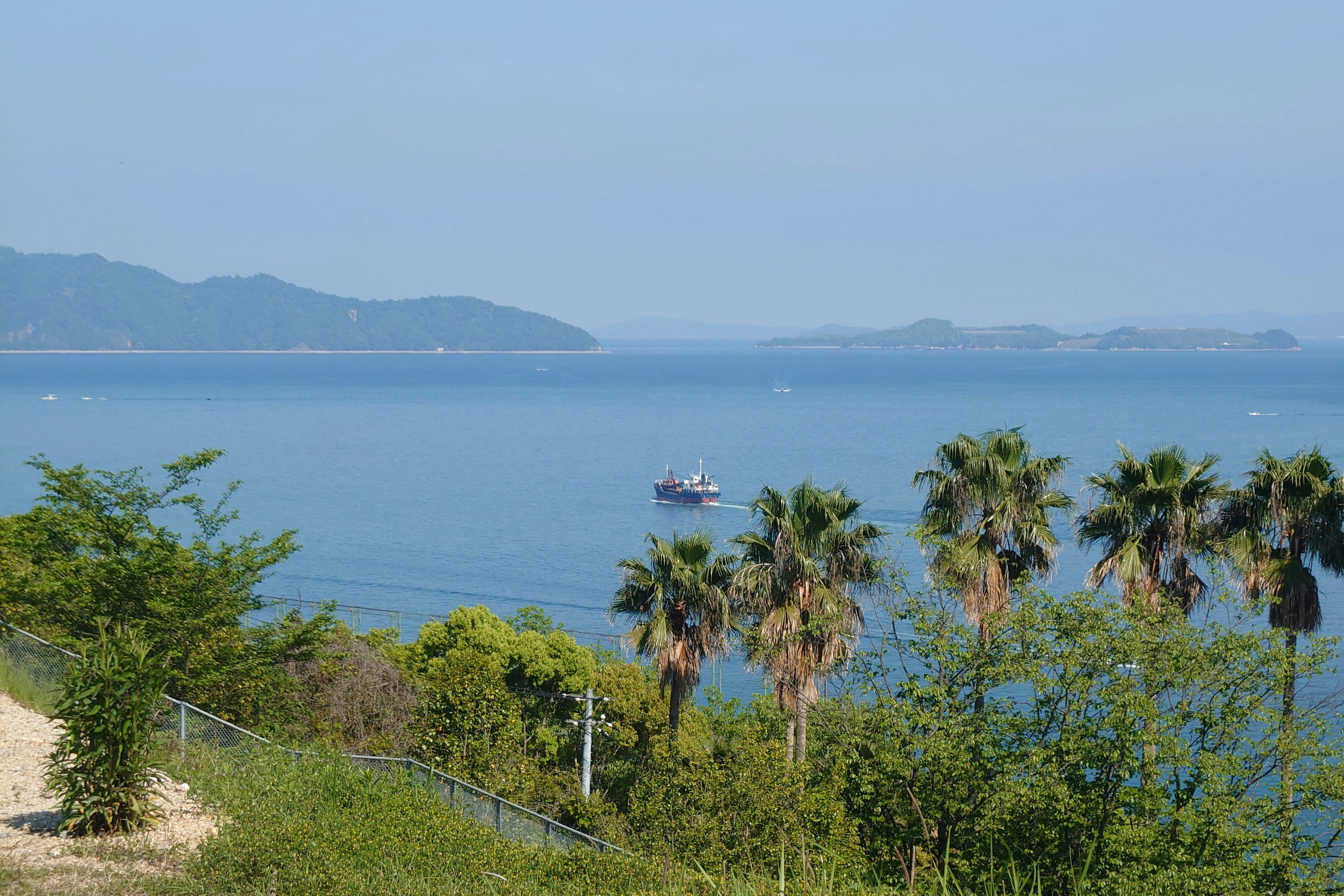 Scenic view of the ocean with palm trees and a boat