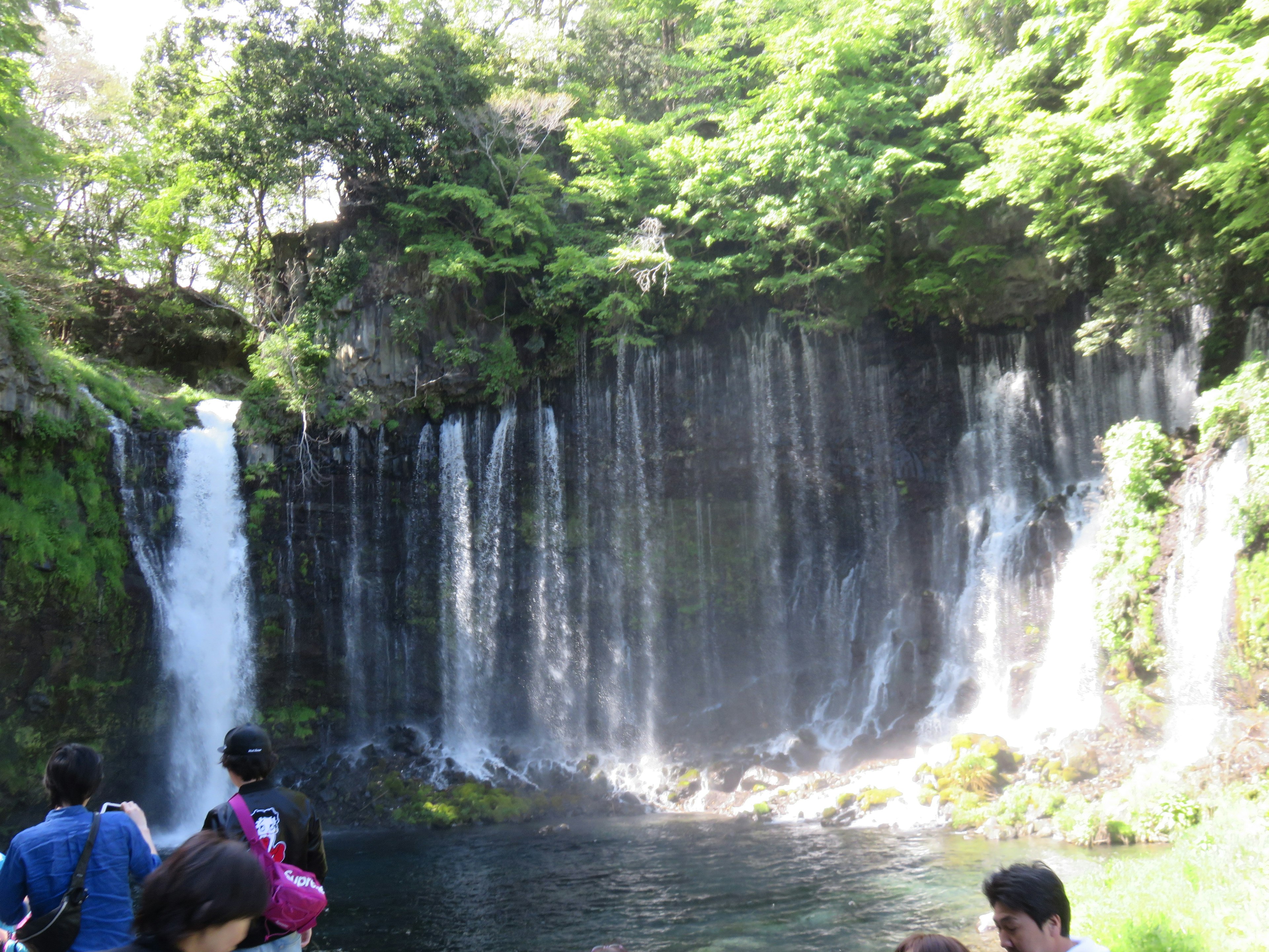 美しい滝と緑に囲まれた風景 多くの人々が滝の近くにいる