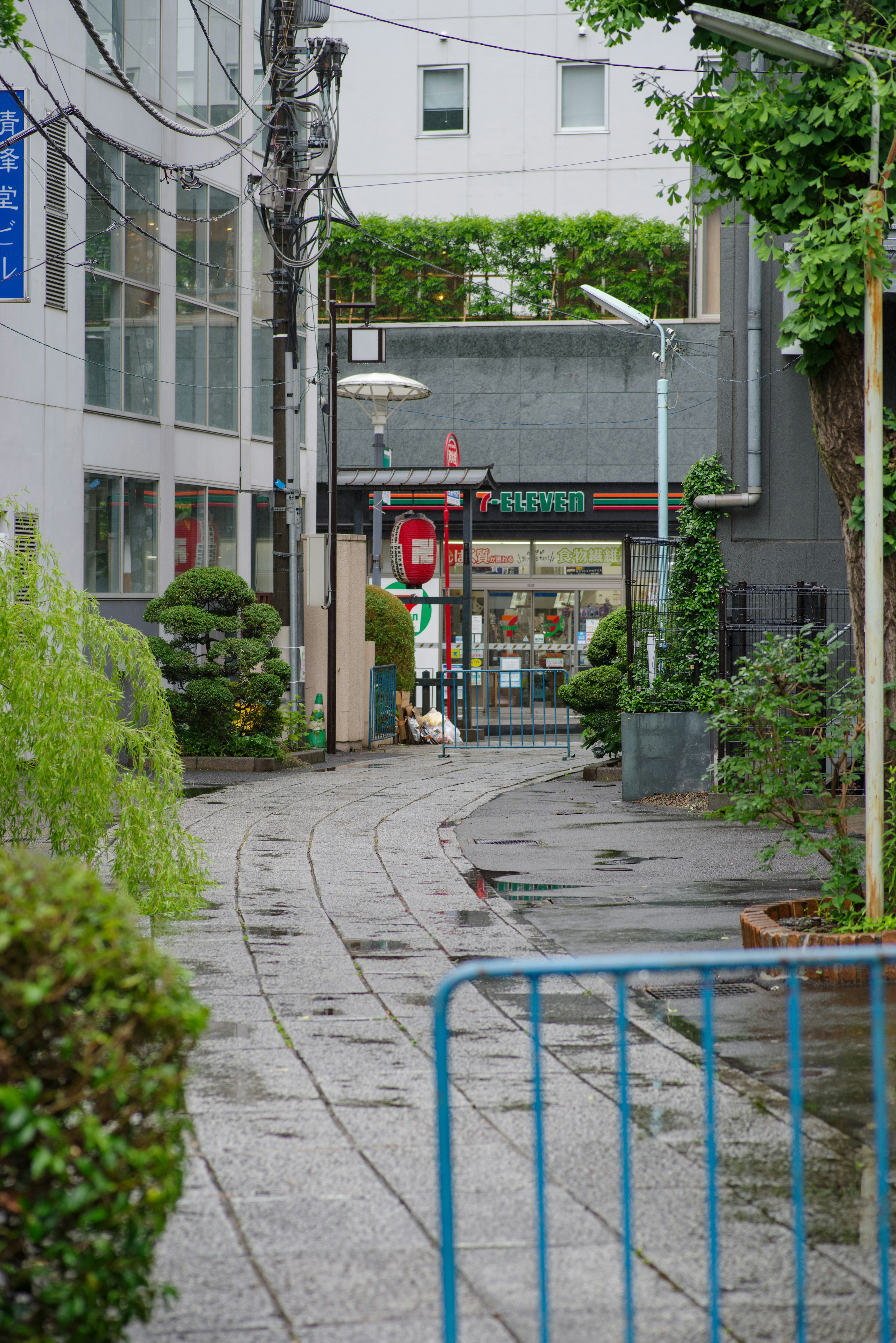 雨に濡れた道と緑の植物がある狭い通りの風景