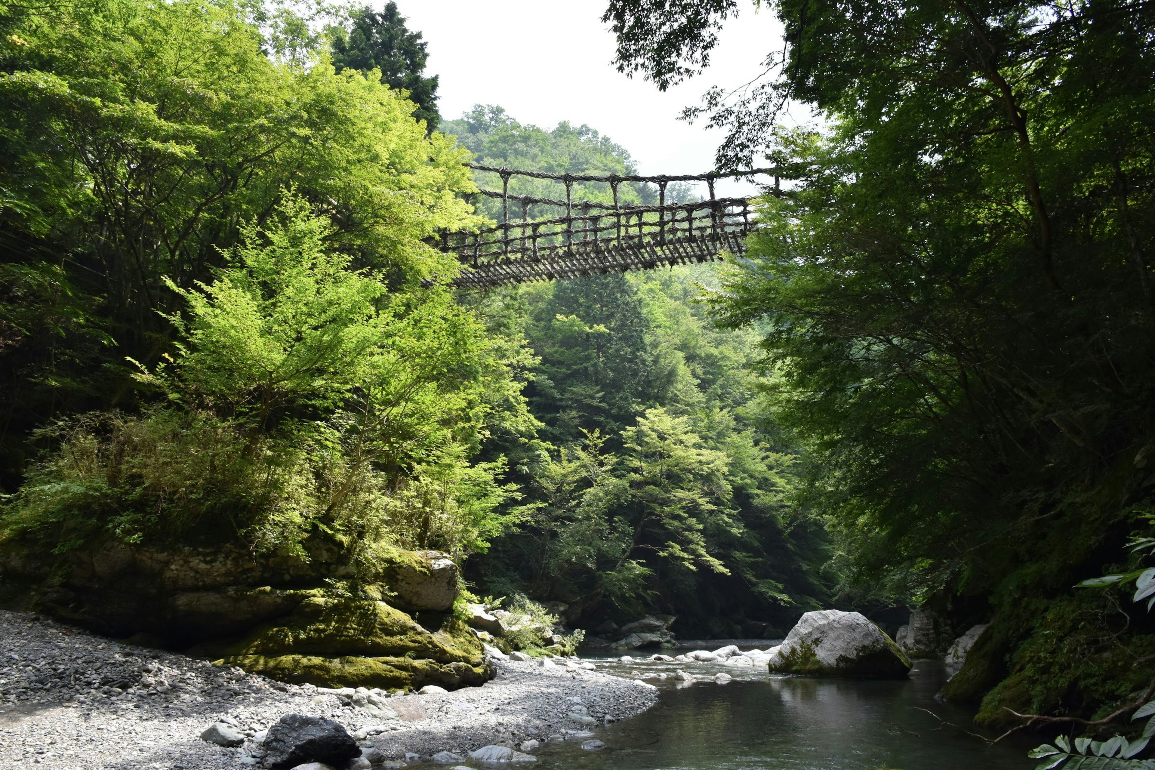 Suspension bridge over a lush green valley with clear water