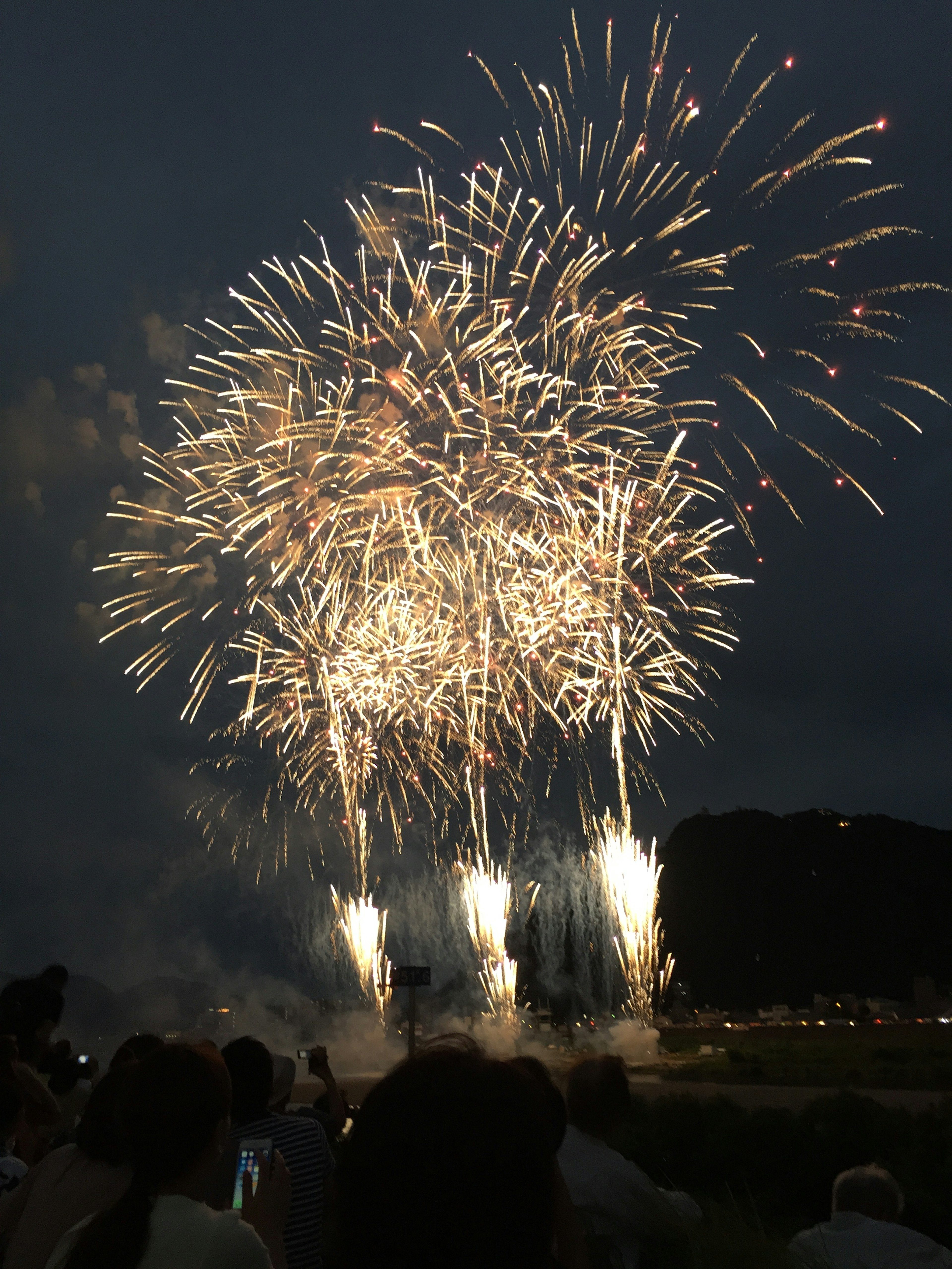 Fireworks display lighting up the night sky with silhouettes of spectators