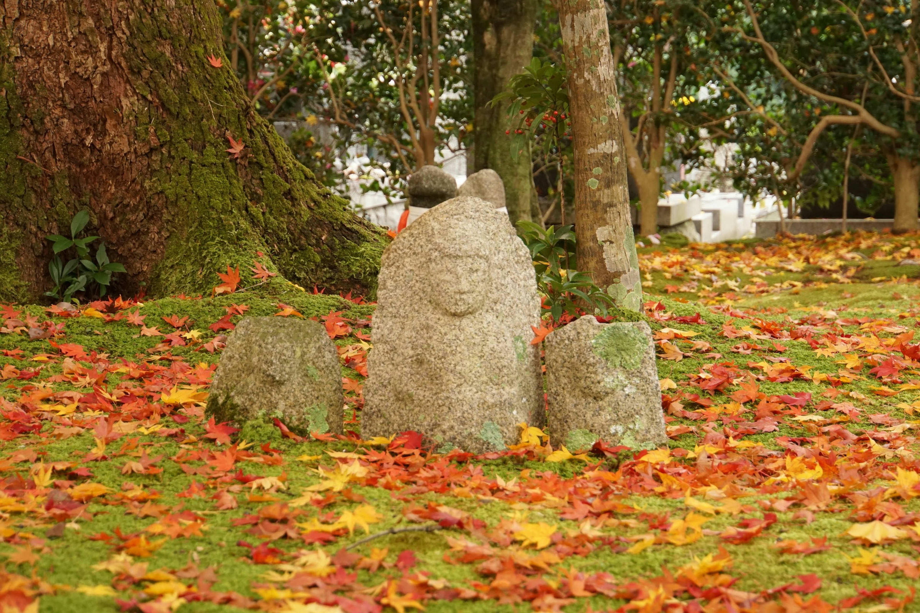 Scultura in pietra circondata da foglie autunnali colorate e alberi