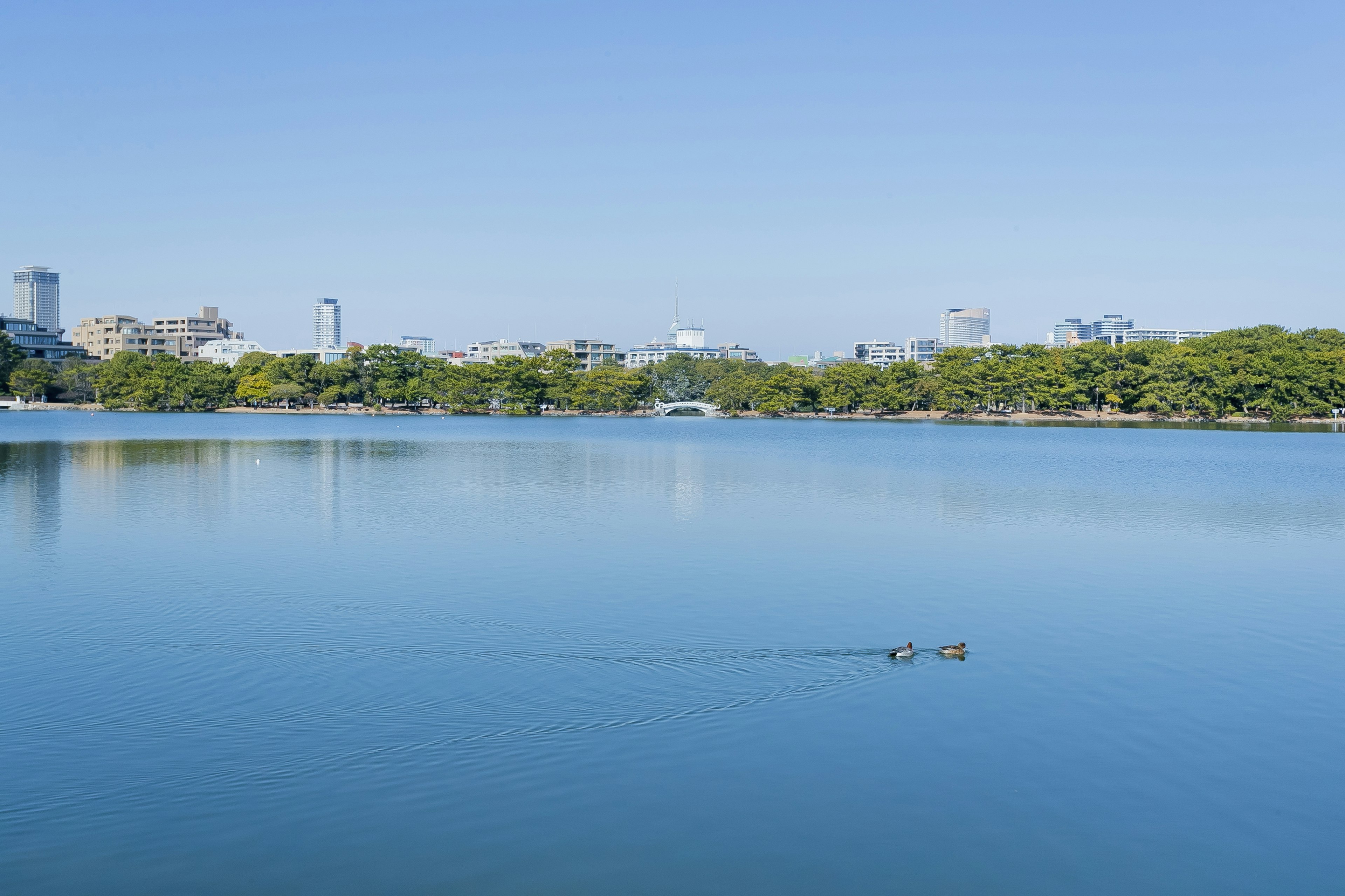 Lago sereno que refleja un cielo azul claro con el horizonte de la ciudad