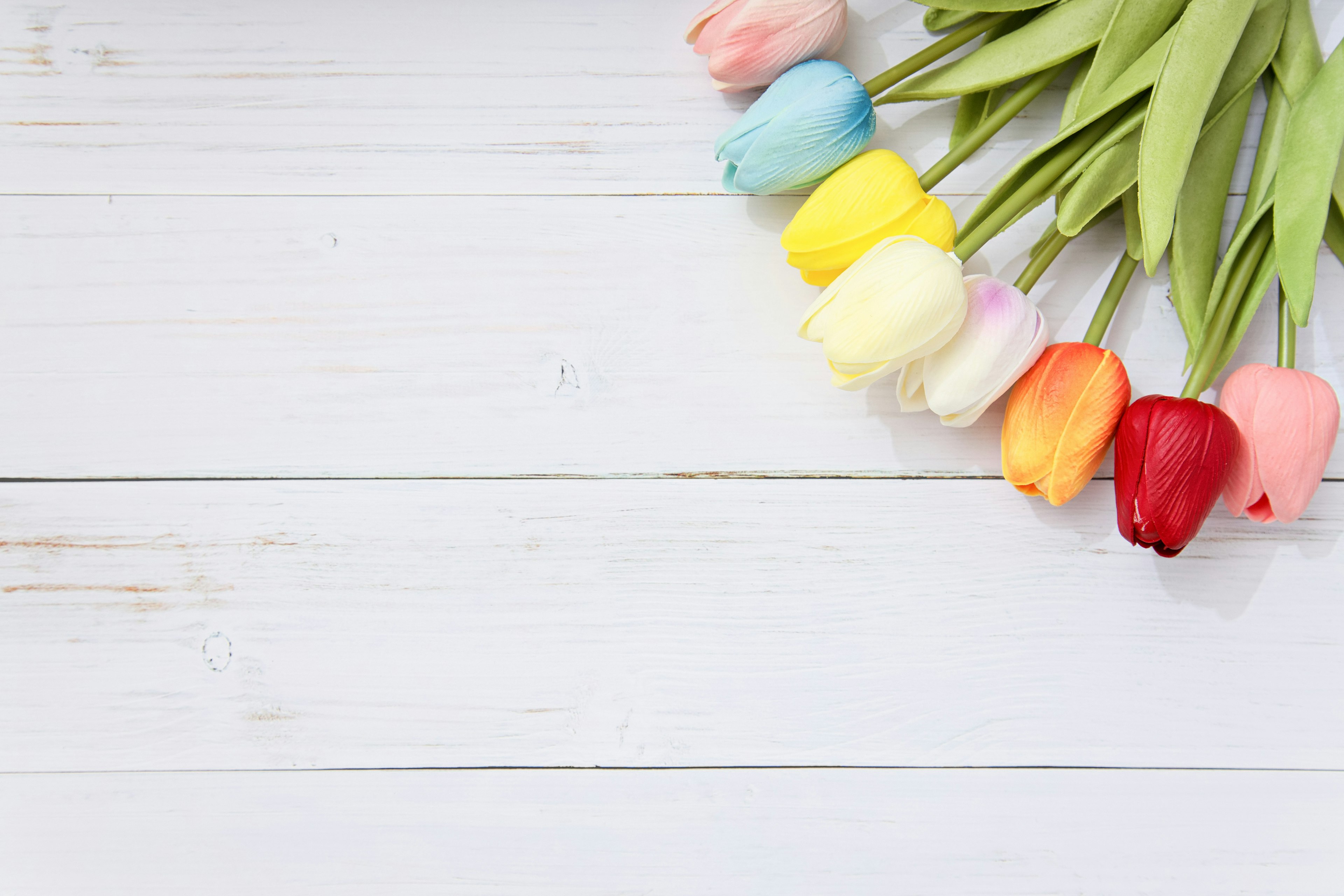 Tulipanes coloridos dispuestos sobre una superficie de madera blanca con varios tonos pastel