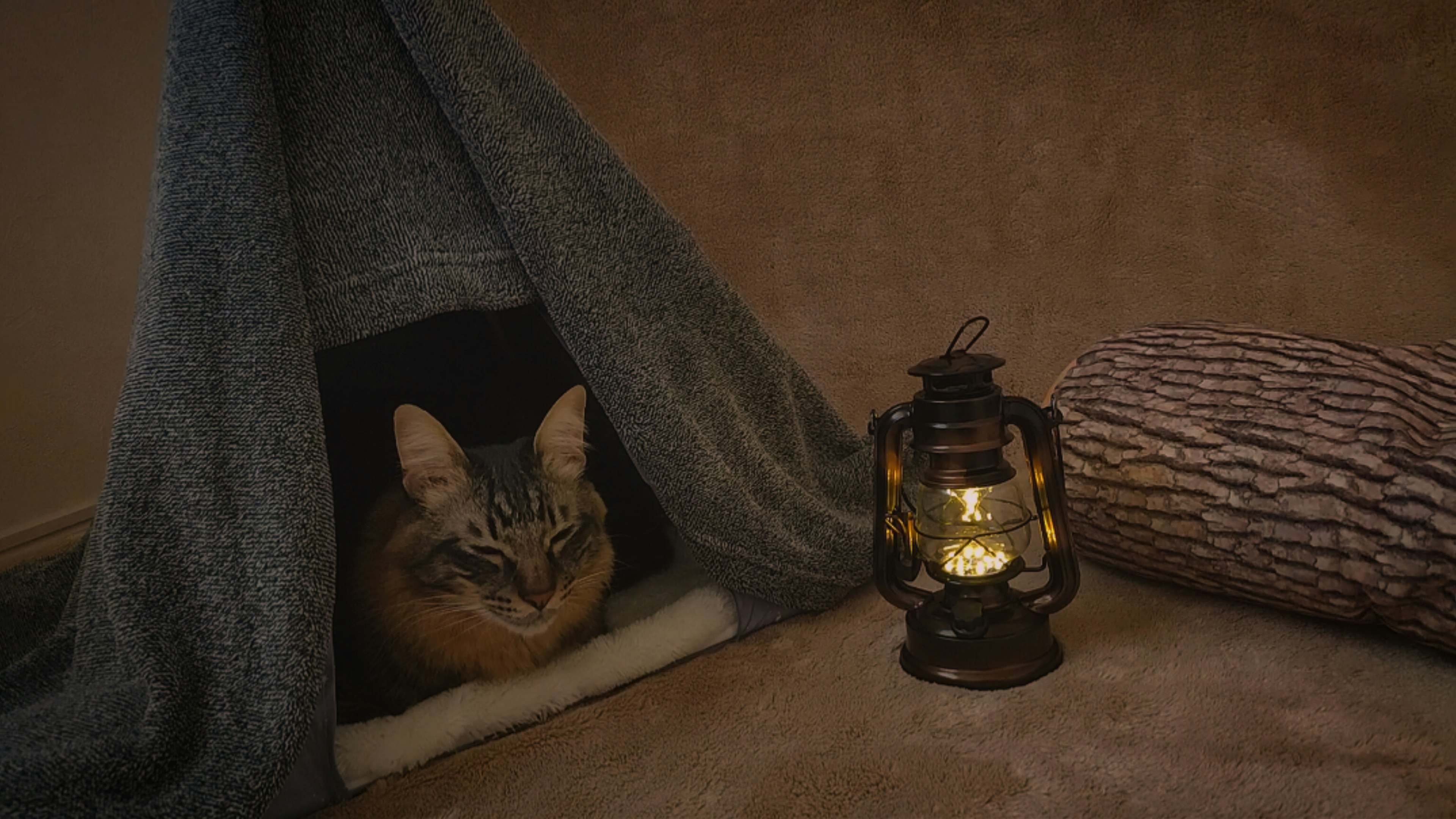 A cat is hiding under a blanket with a warm lantern nearby