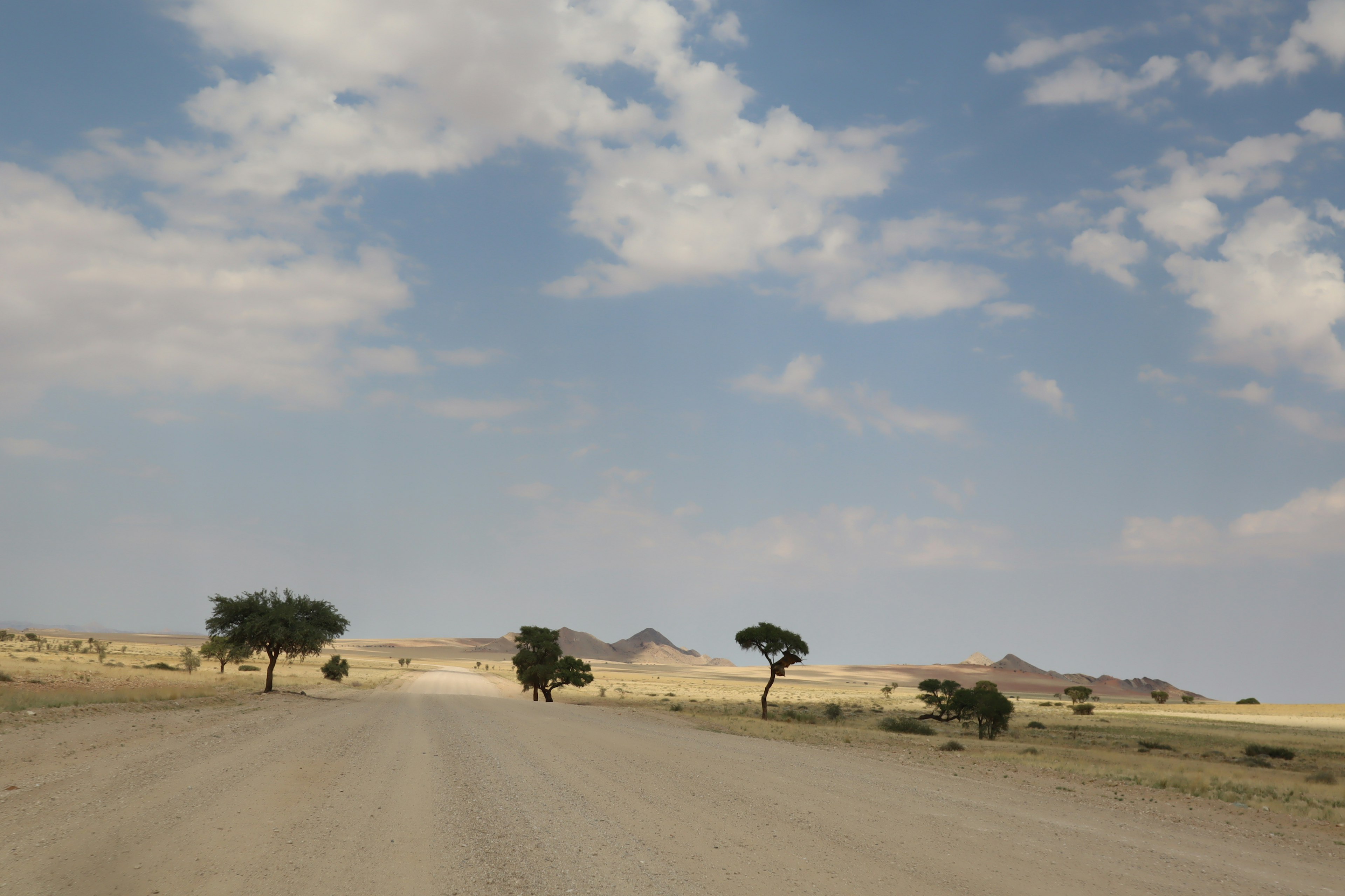 Eine Landschaft mit verstreuten Bäumen und einem weiten blauen Himmel über trockenem Land