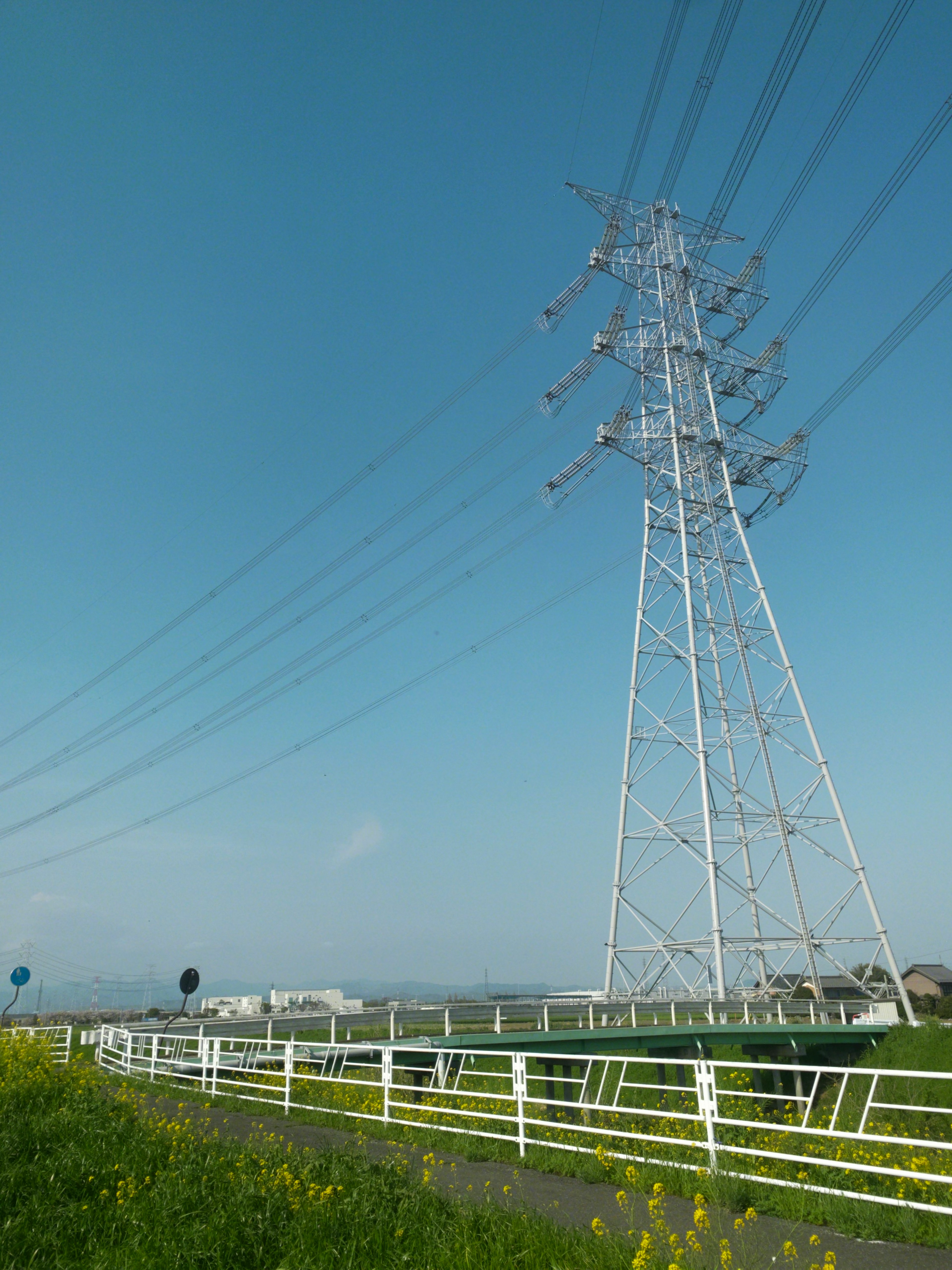 青空の下に立つ高圧電柱と周囲の緑の風景