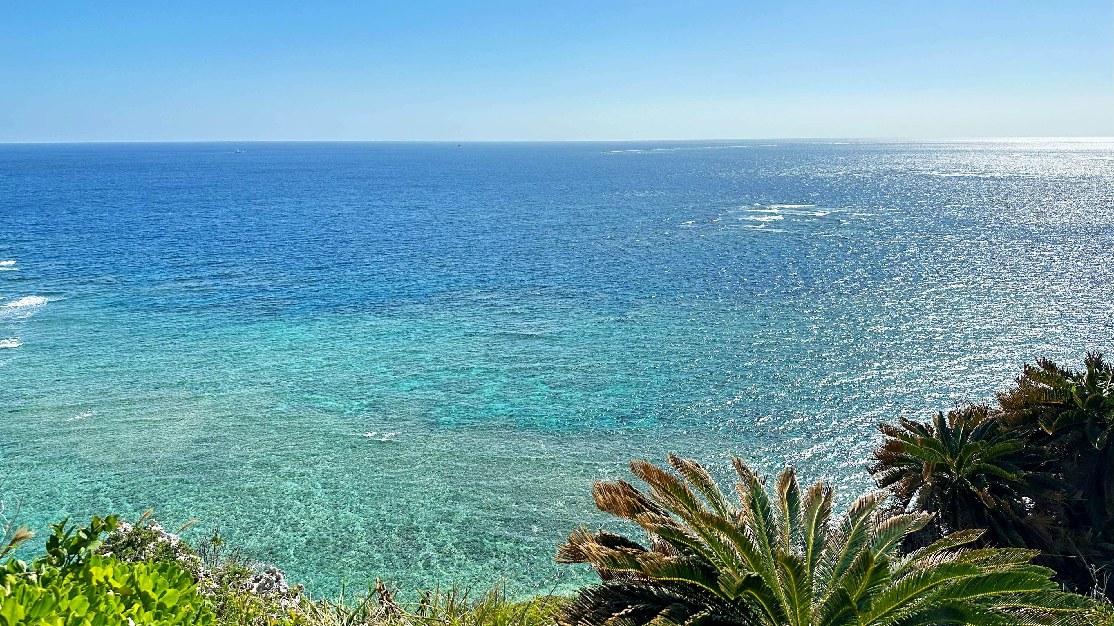 Vista escénica del océano azul y cielo claro palmeras a lo largo de la costa