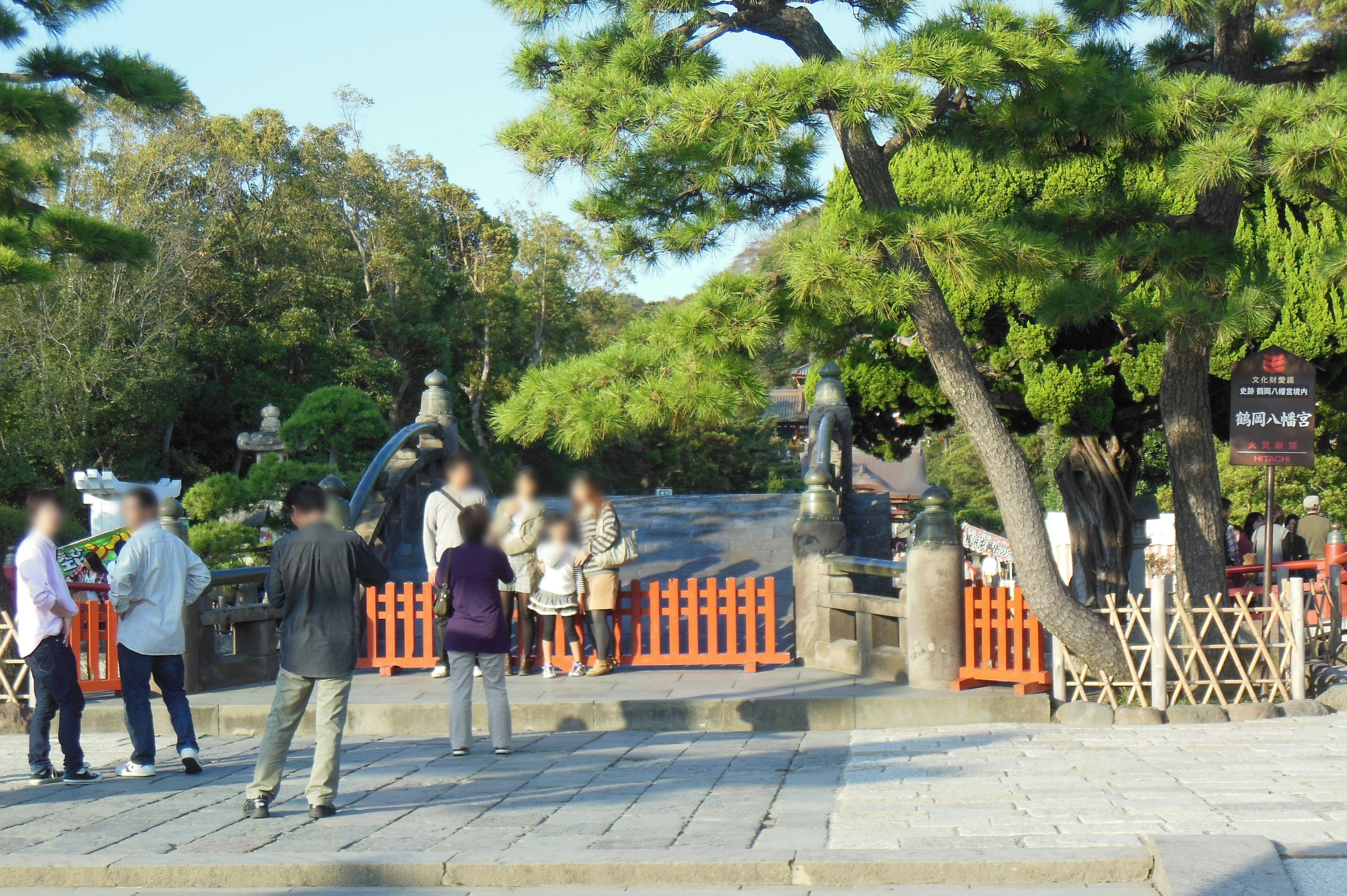 観光客が集まる松の木のある景観の中での寺院の風景