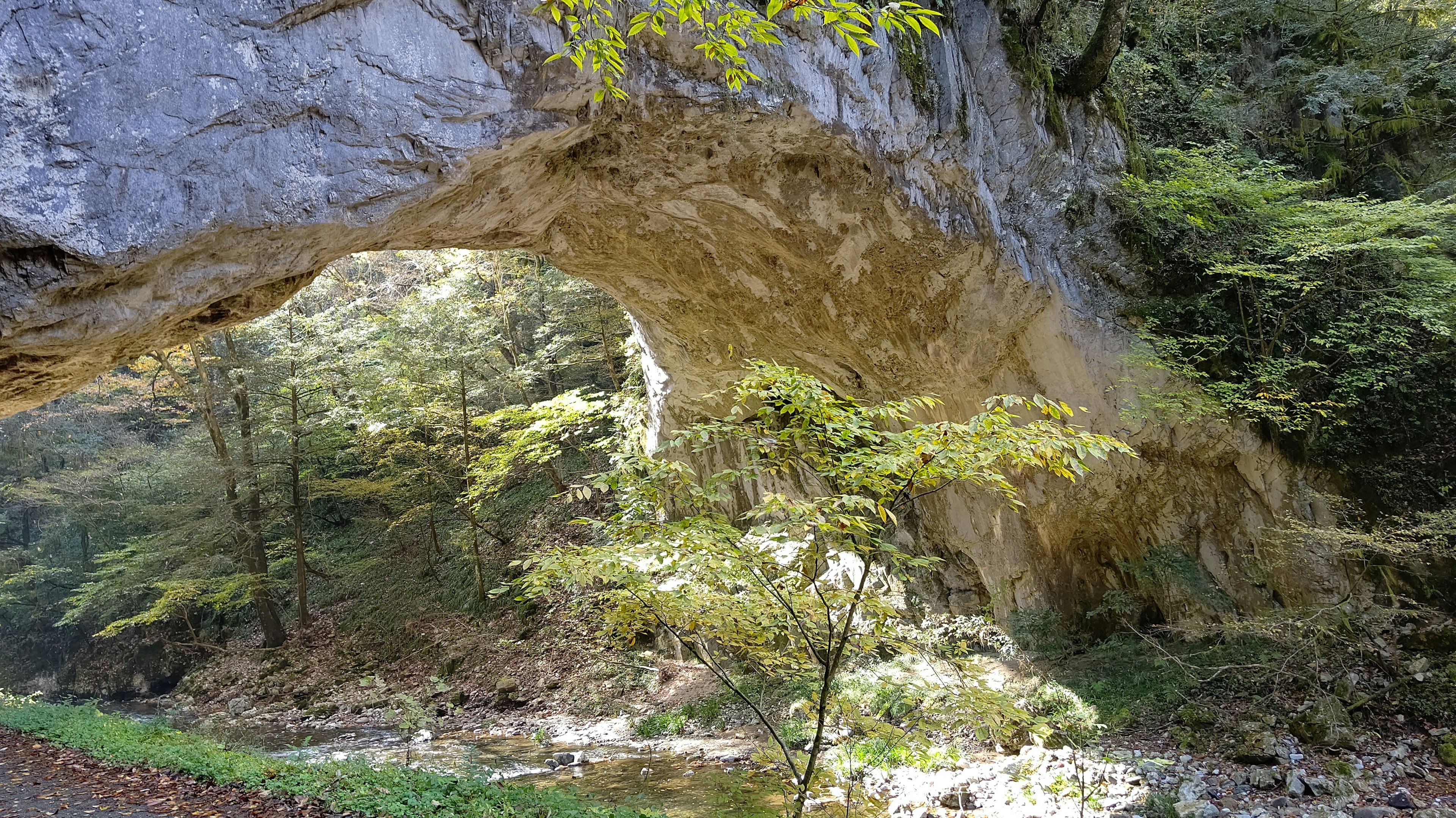 Large rock arch surrounded by lush greenery and trees