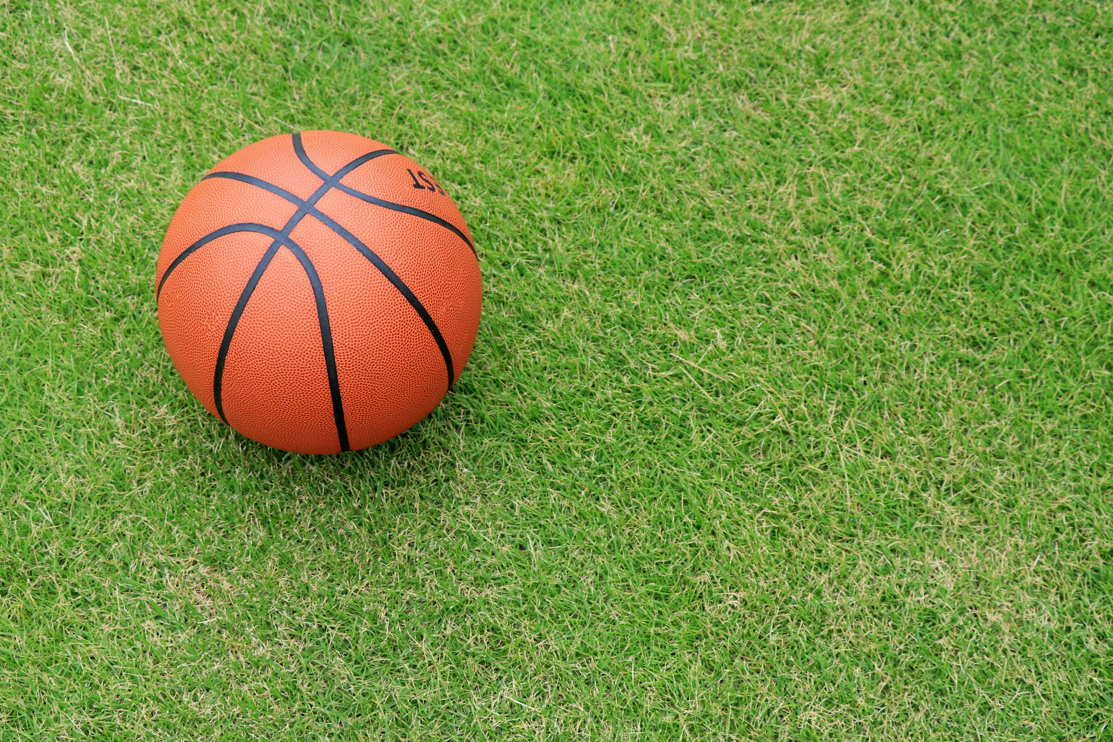 An orange basketball resting on green grass