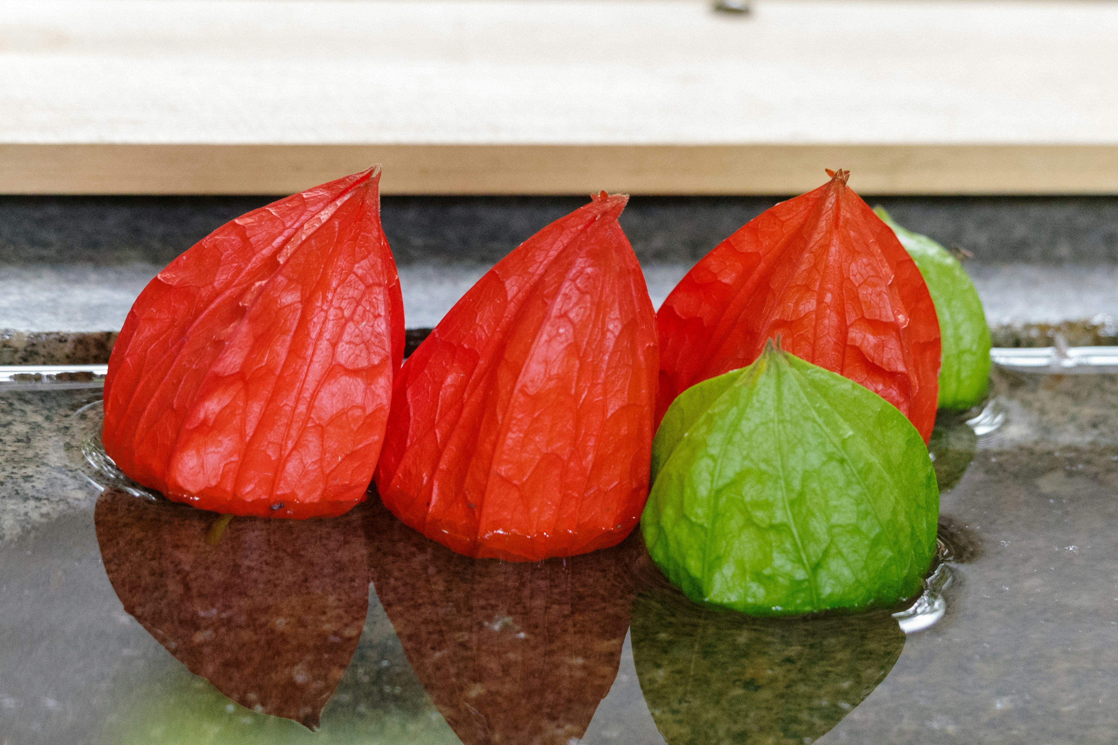 Un grupo de physalis rojos y verdes dispuestos sobre una superficie reflectante