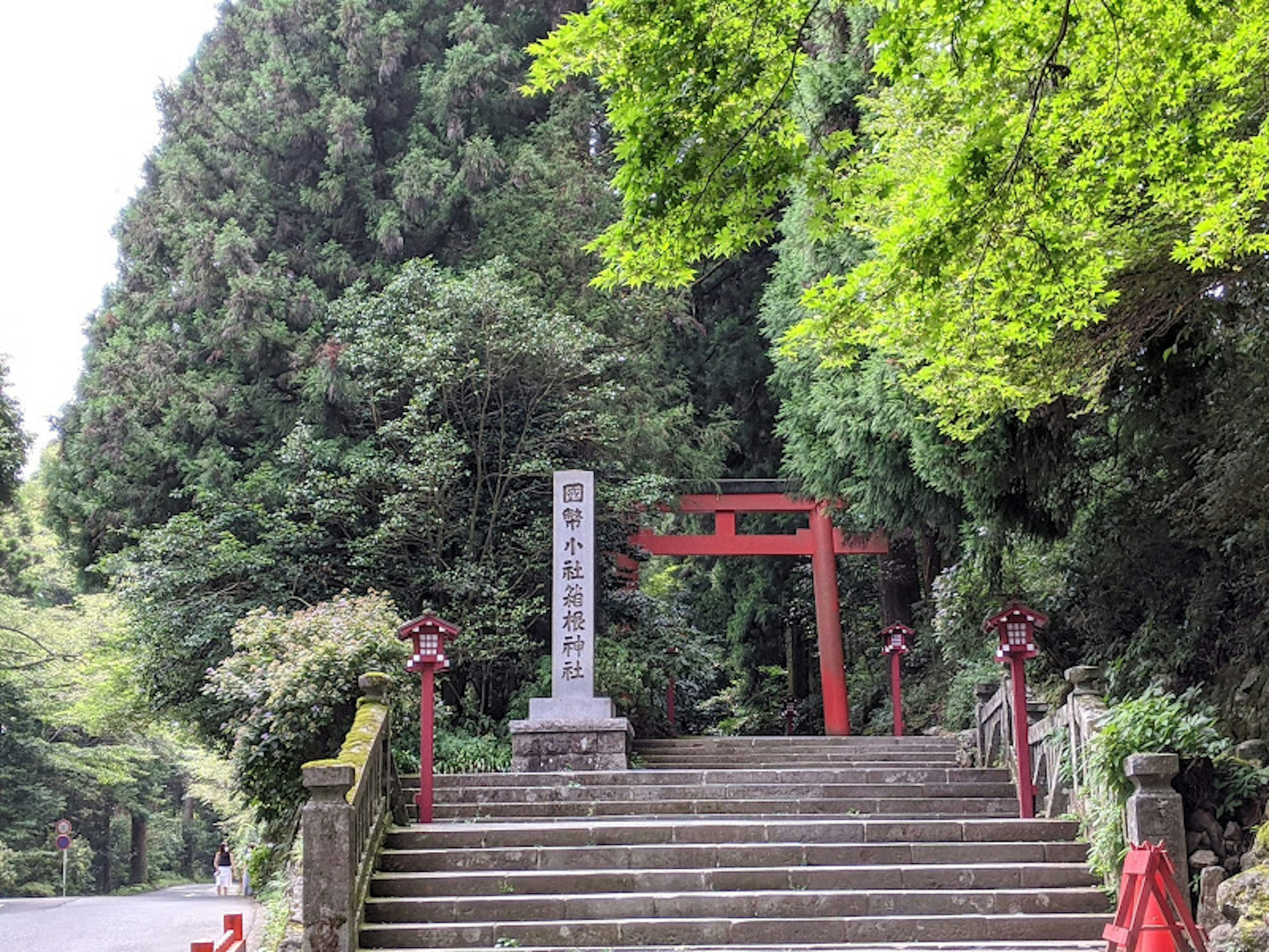 Cầu thang đá dẫn đến cổng torii đỏ được bao quanh bởi những cây xanh tươi tốt