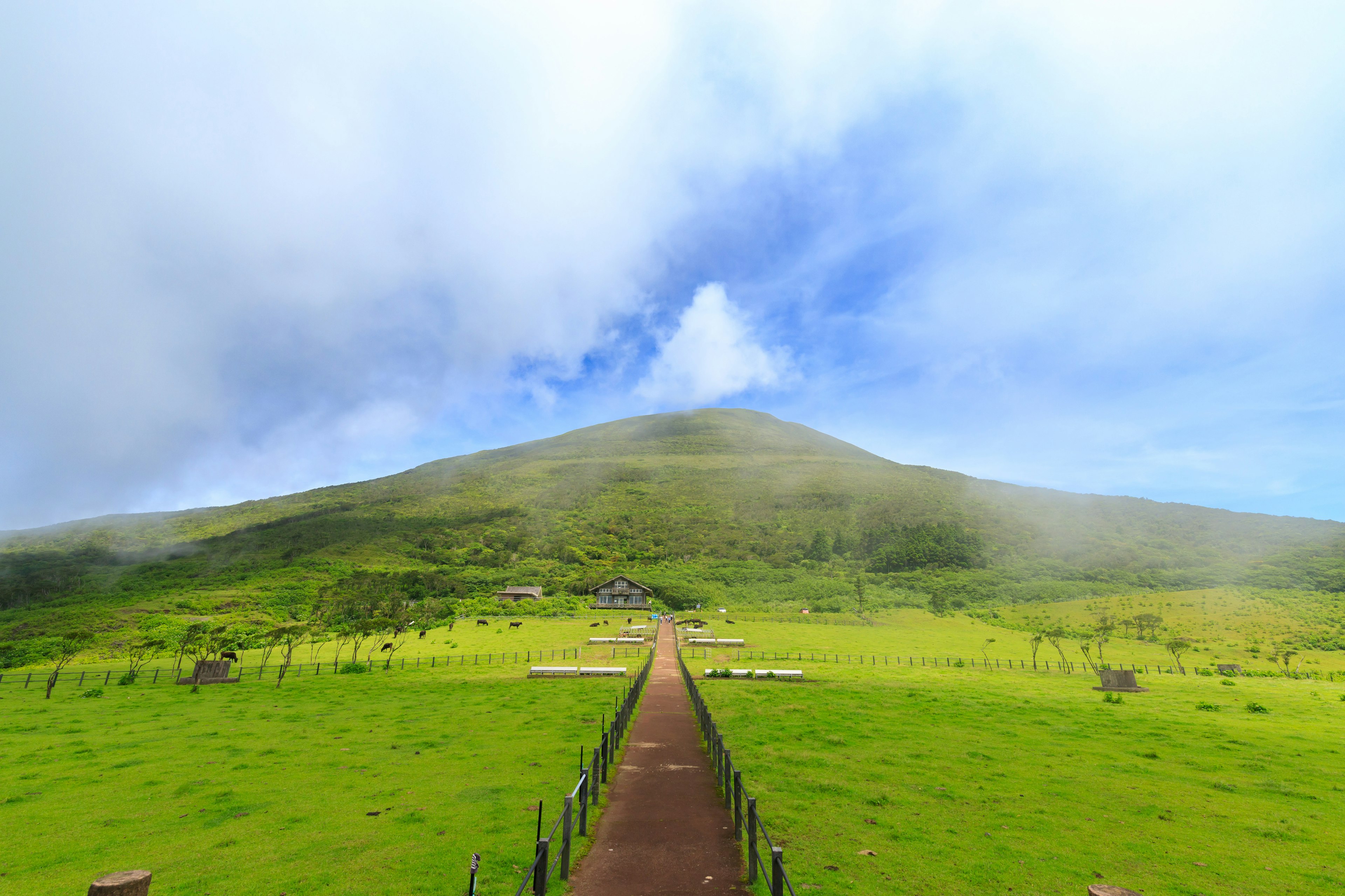 緑の草原と雲に覆われた山の道