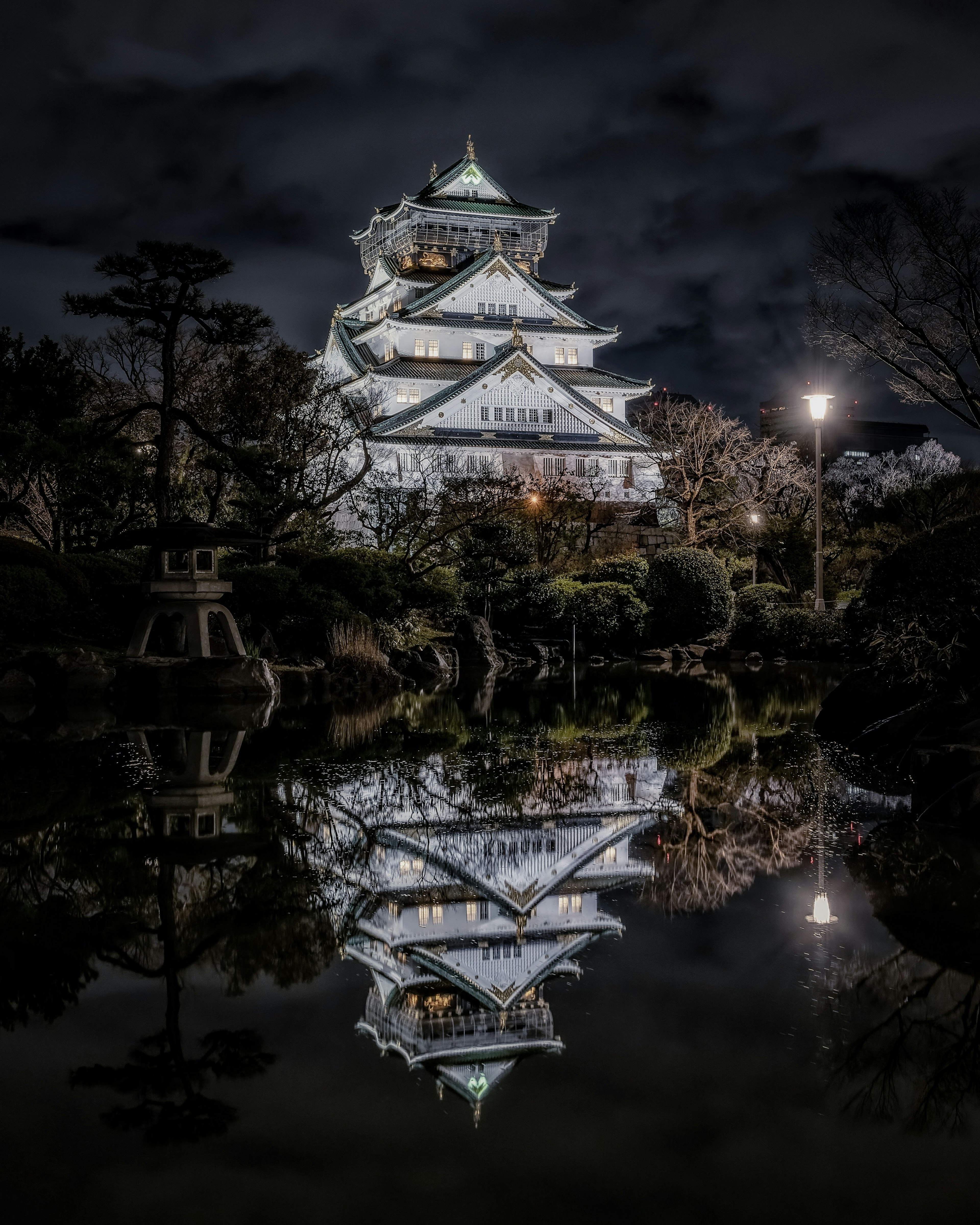 Hermosa vista nocturna del castillo de Okayama con reflejos