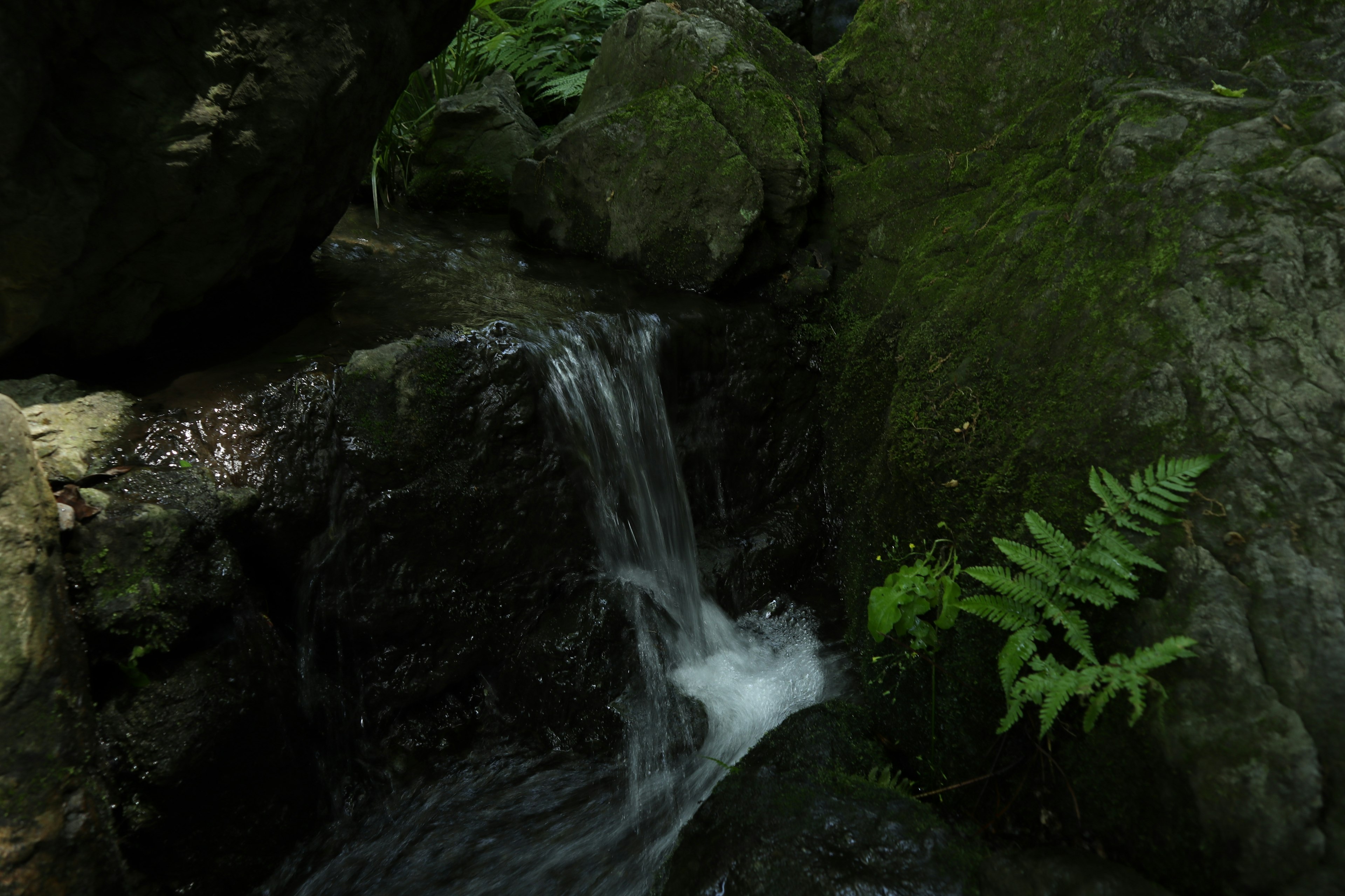 Small waterfall flowing between rocks surrounded by greenery