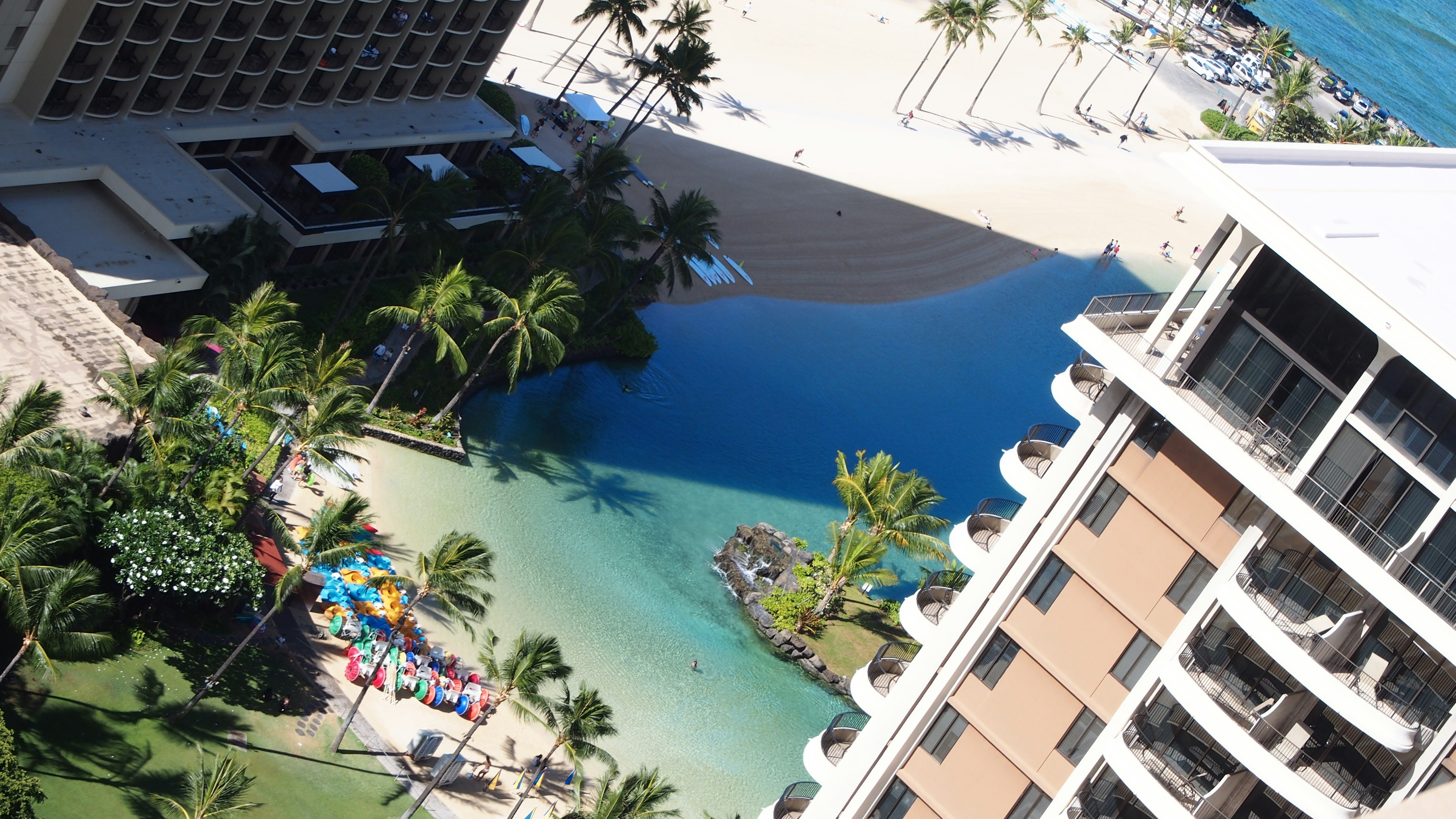 Aerial view of a beach and pool with palm trees and colorful beach chairs