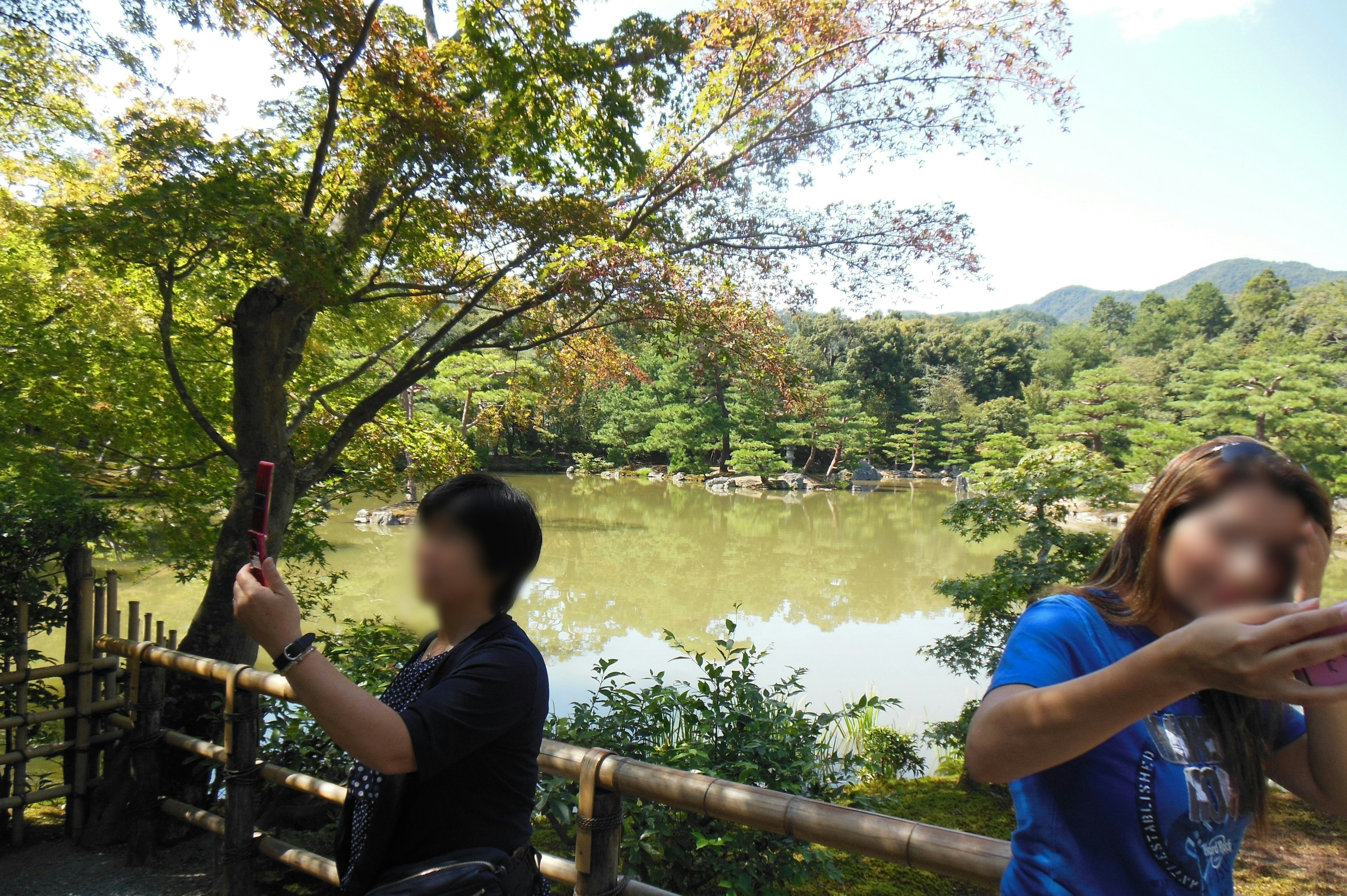 公園の池の風景を楽しむ人々 緑の木々と青空