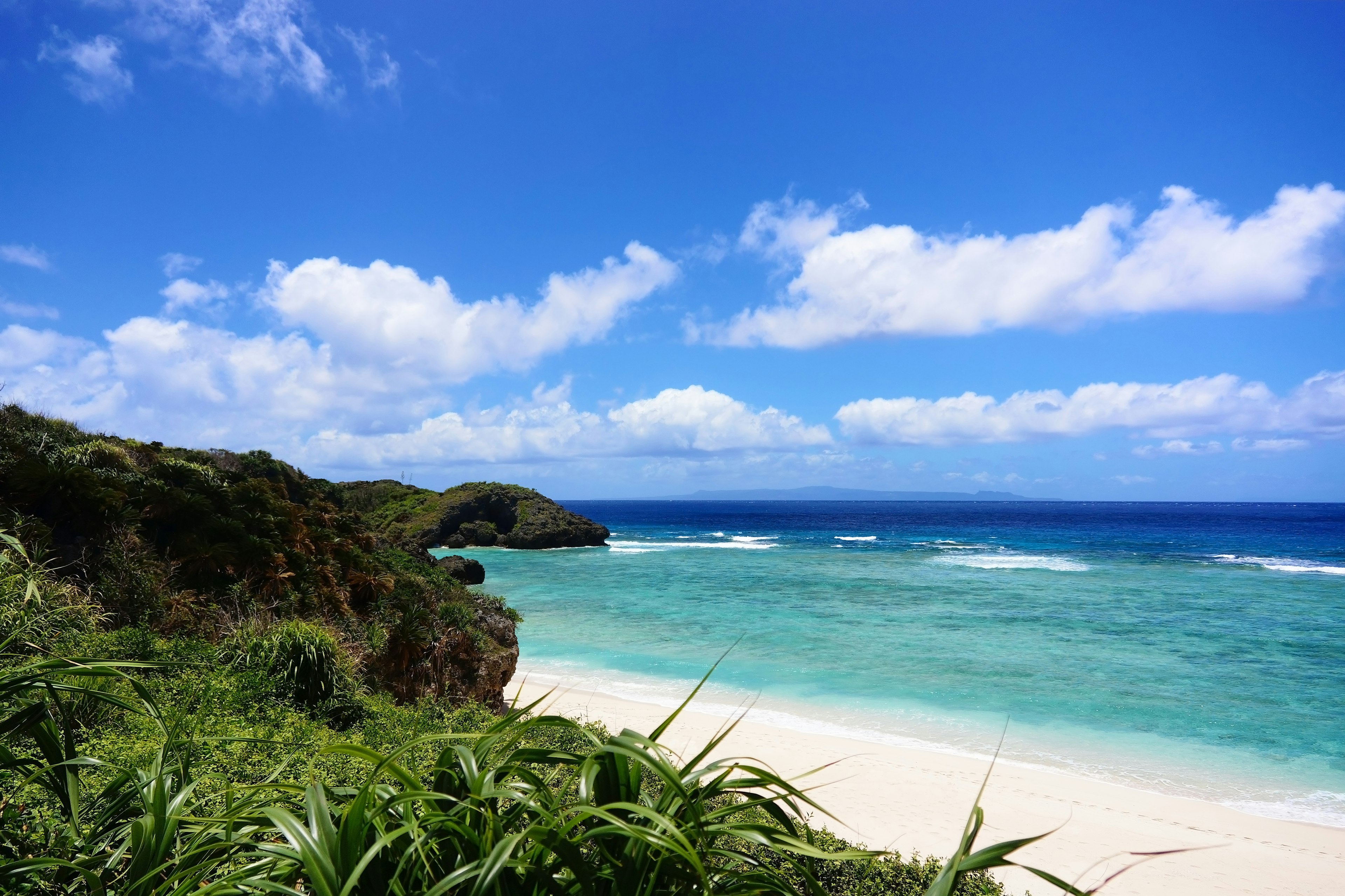 Pantai indah dan pemandangan lautan biru dengan tanaman hijau dan langit cerah