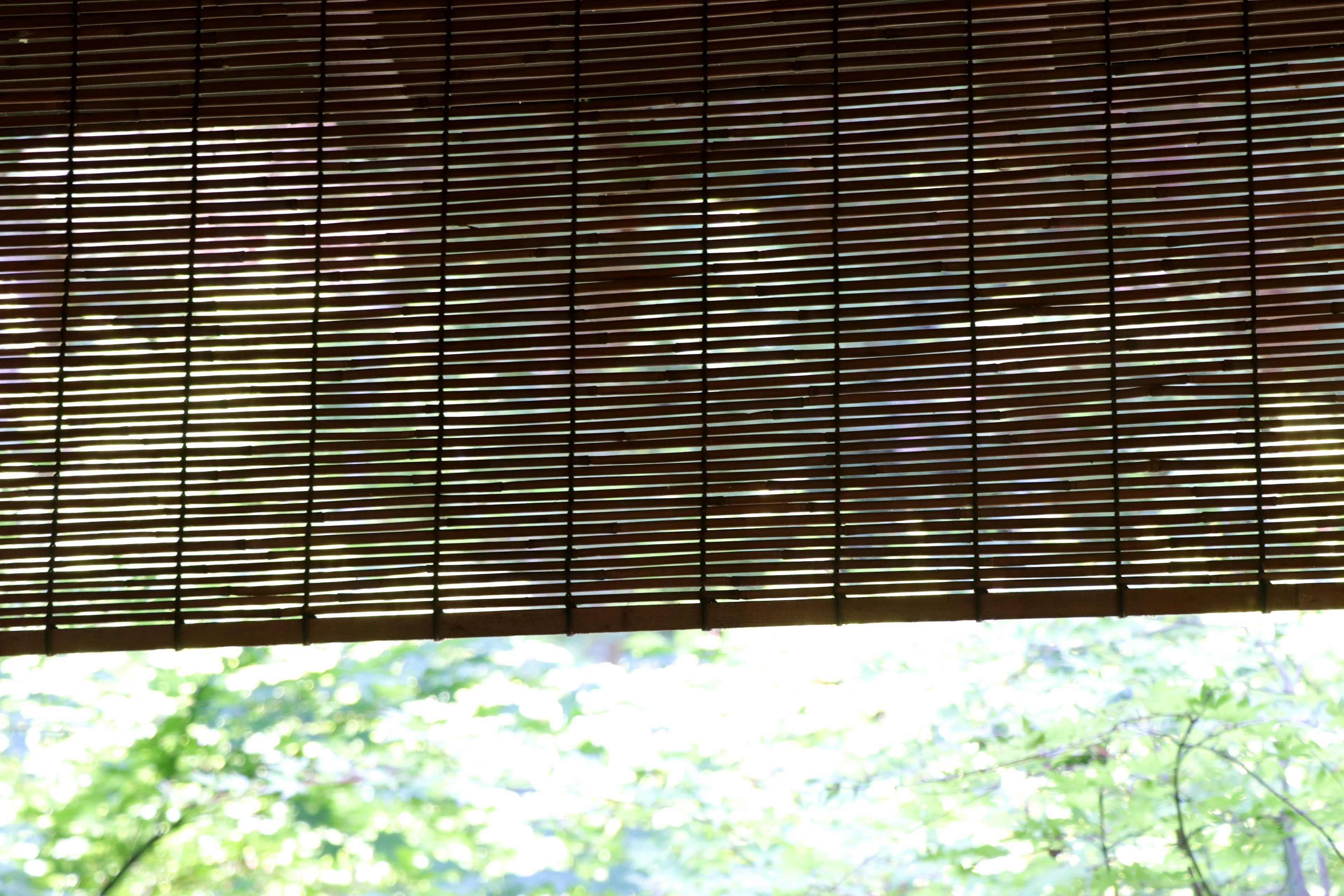 Bamboo screen revealing a lush green landscape