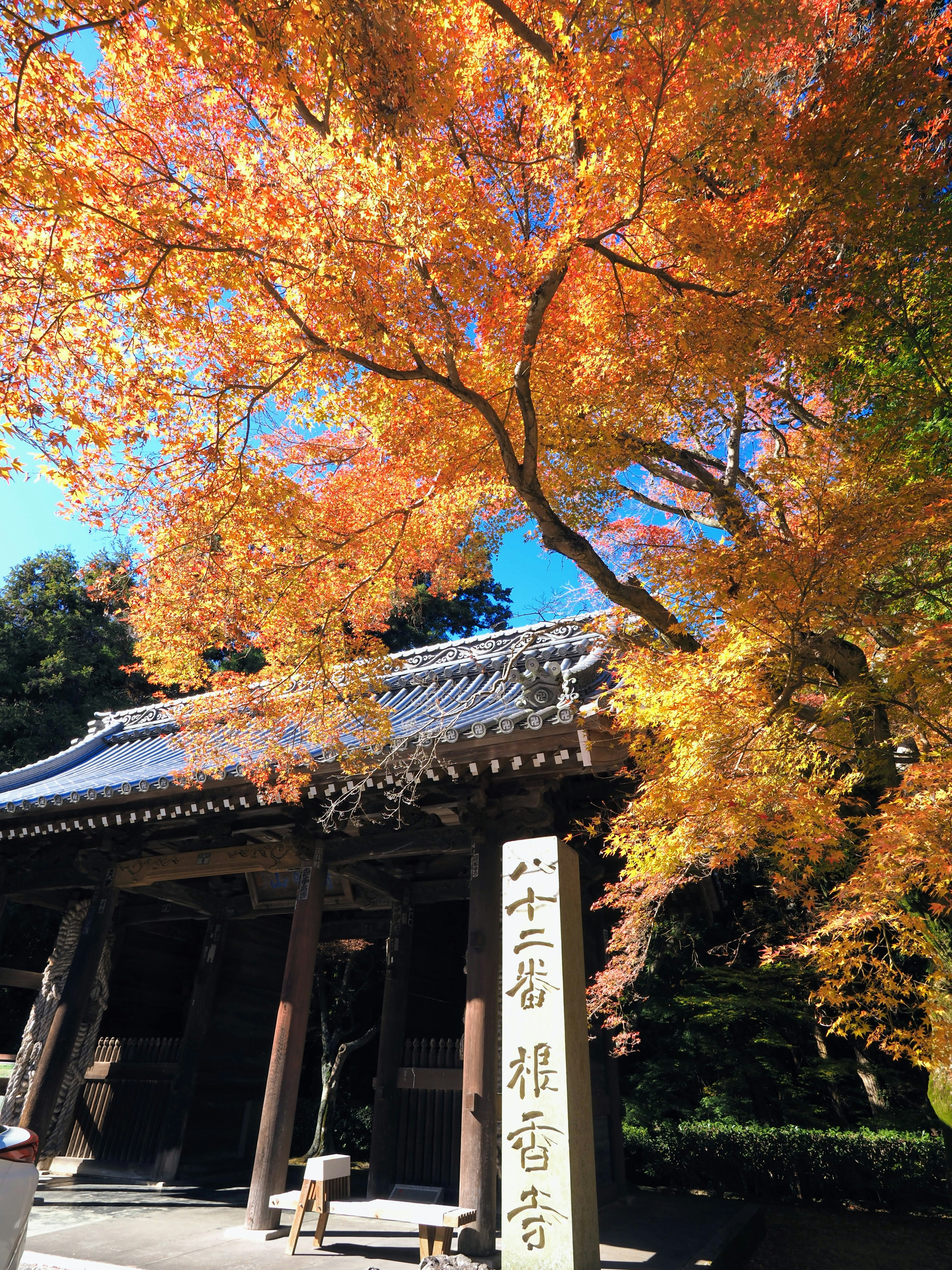 Hojas de otoño vibrantes que rodean una puerta de templo y un letrero