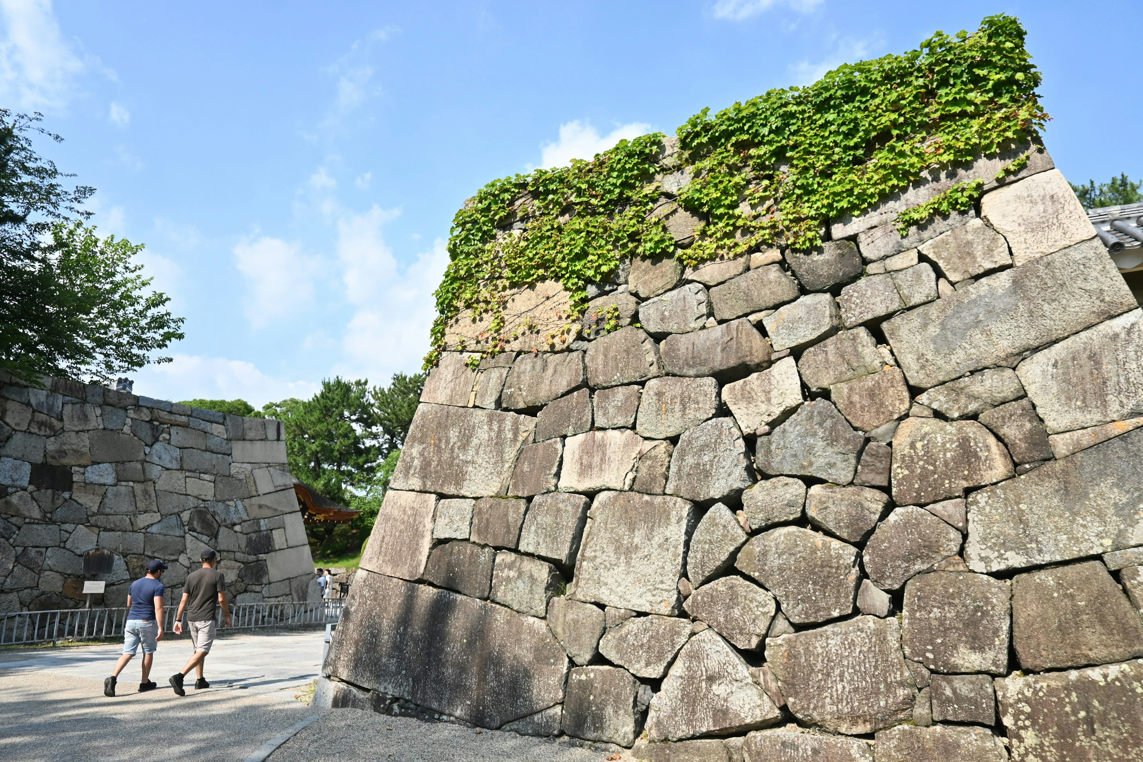 Dos turistas caminando cerca de un muro de piedra cubierto de vegetación en un castillo