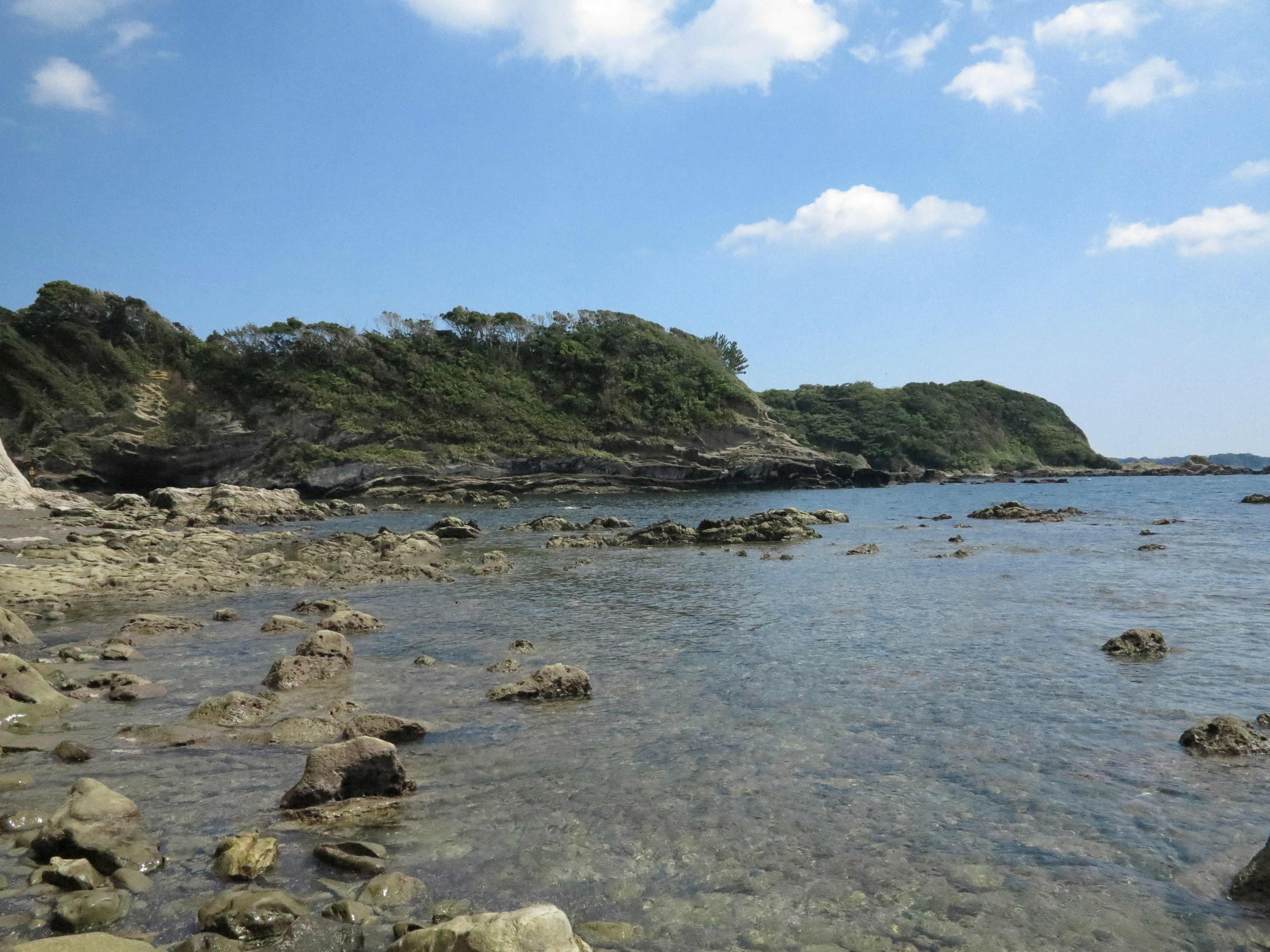 Paesaggio di mare calmo e cielo azzurro con rocce e vegetazione