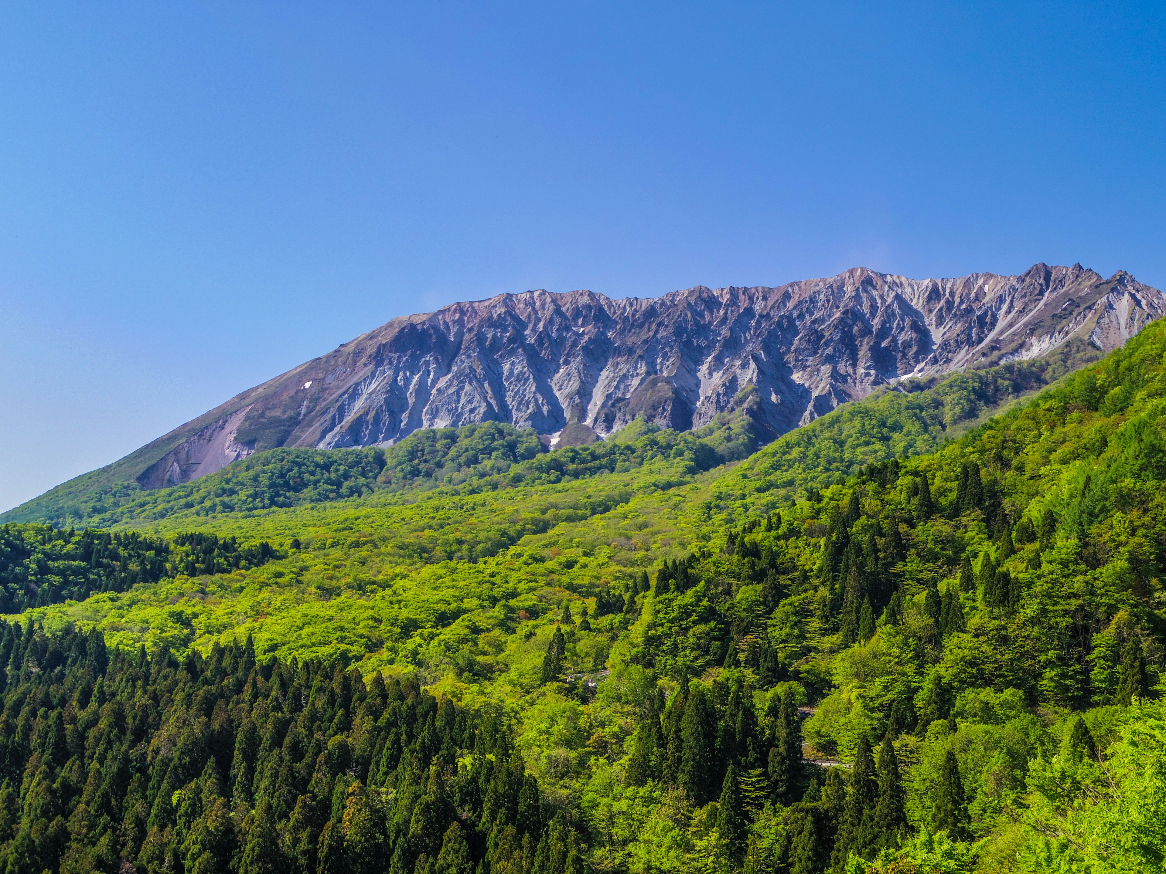 緑豊かな山と青空の風景