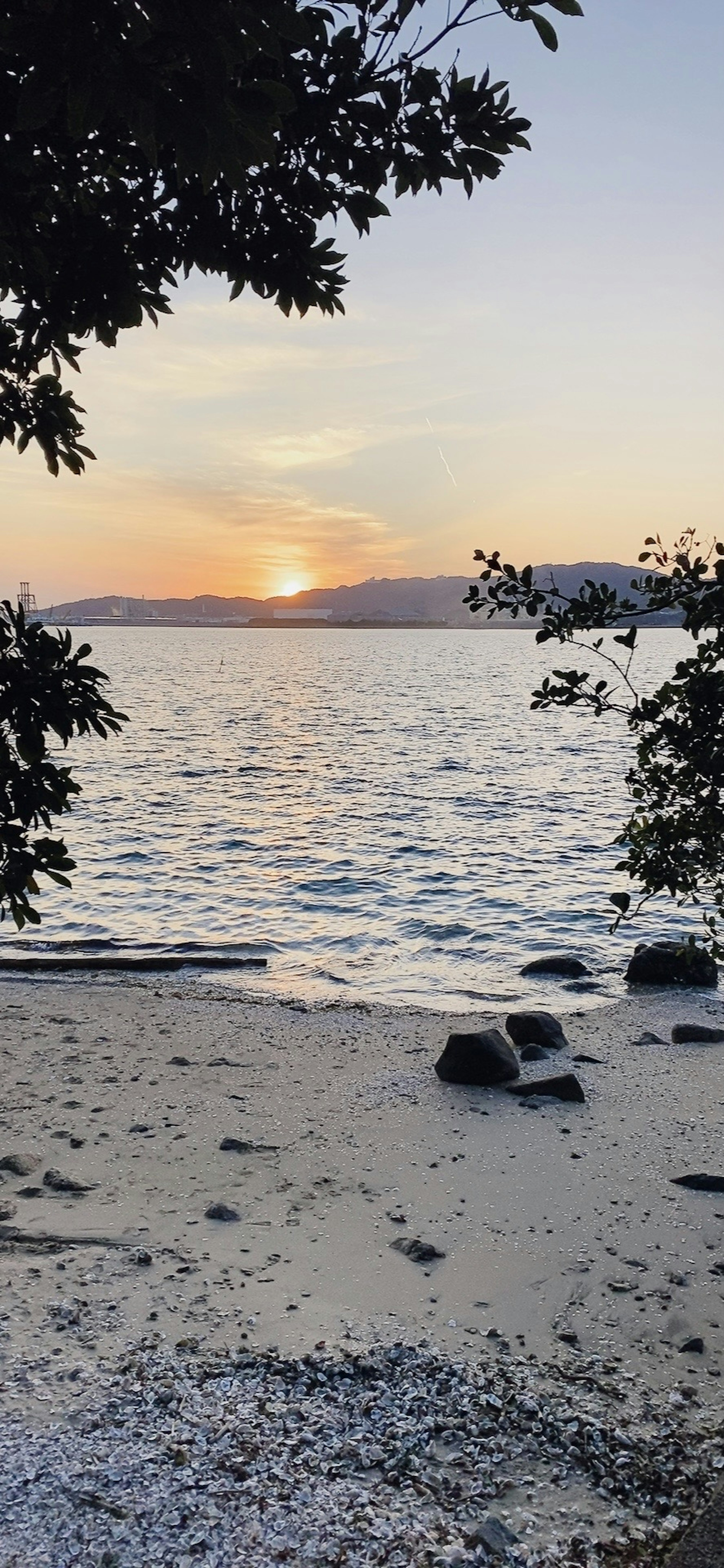 海滩景观，夕阳映照水面，岩石可见