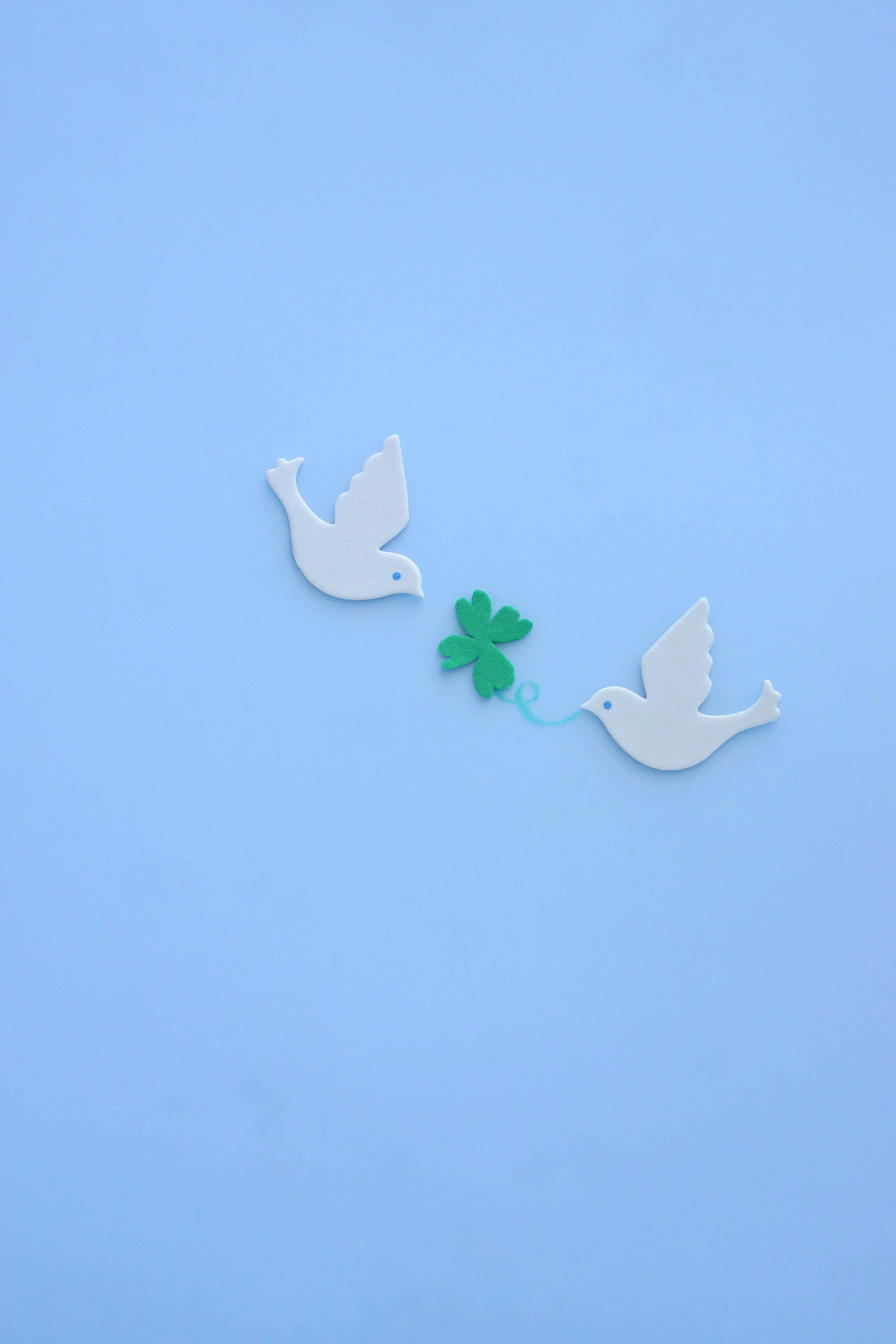 Two white birds with a green clover on a blue background