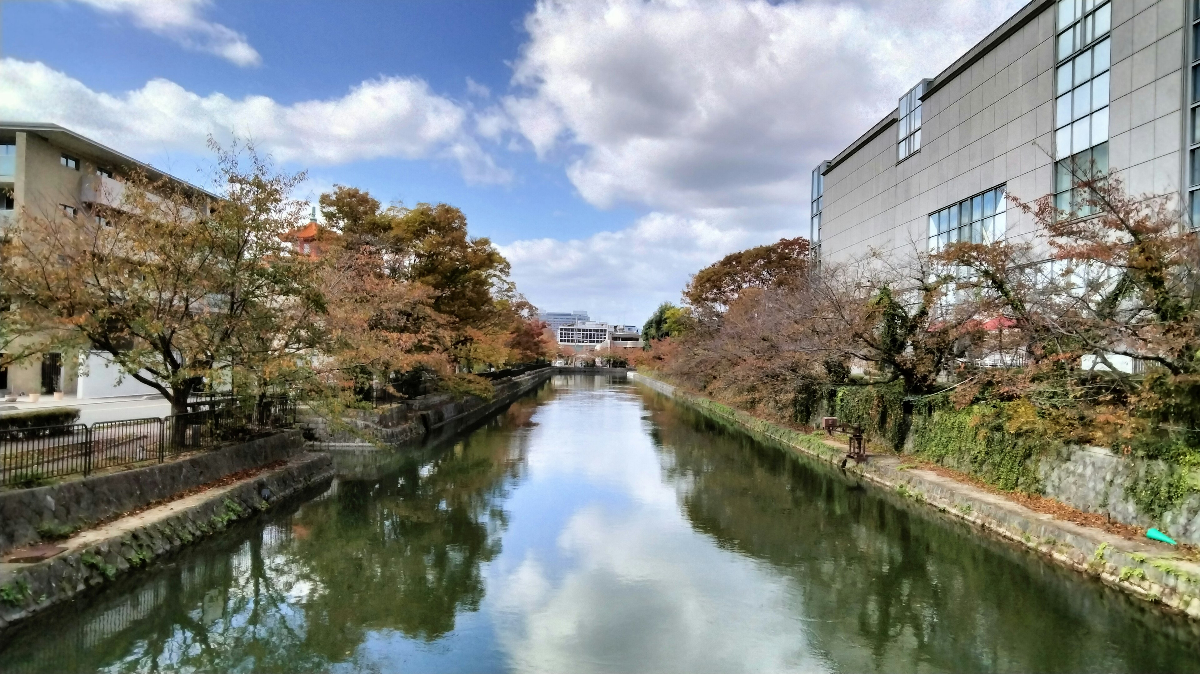 Agua tranquila que refleja árboles de otoño y cielo azul