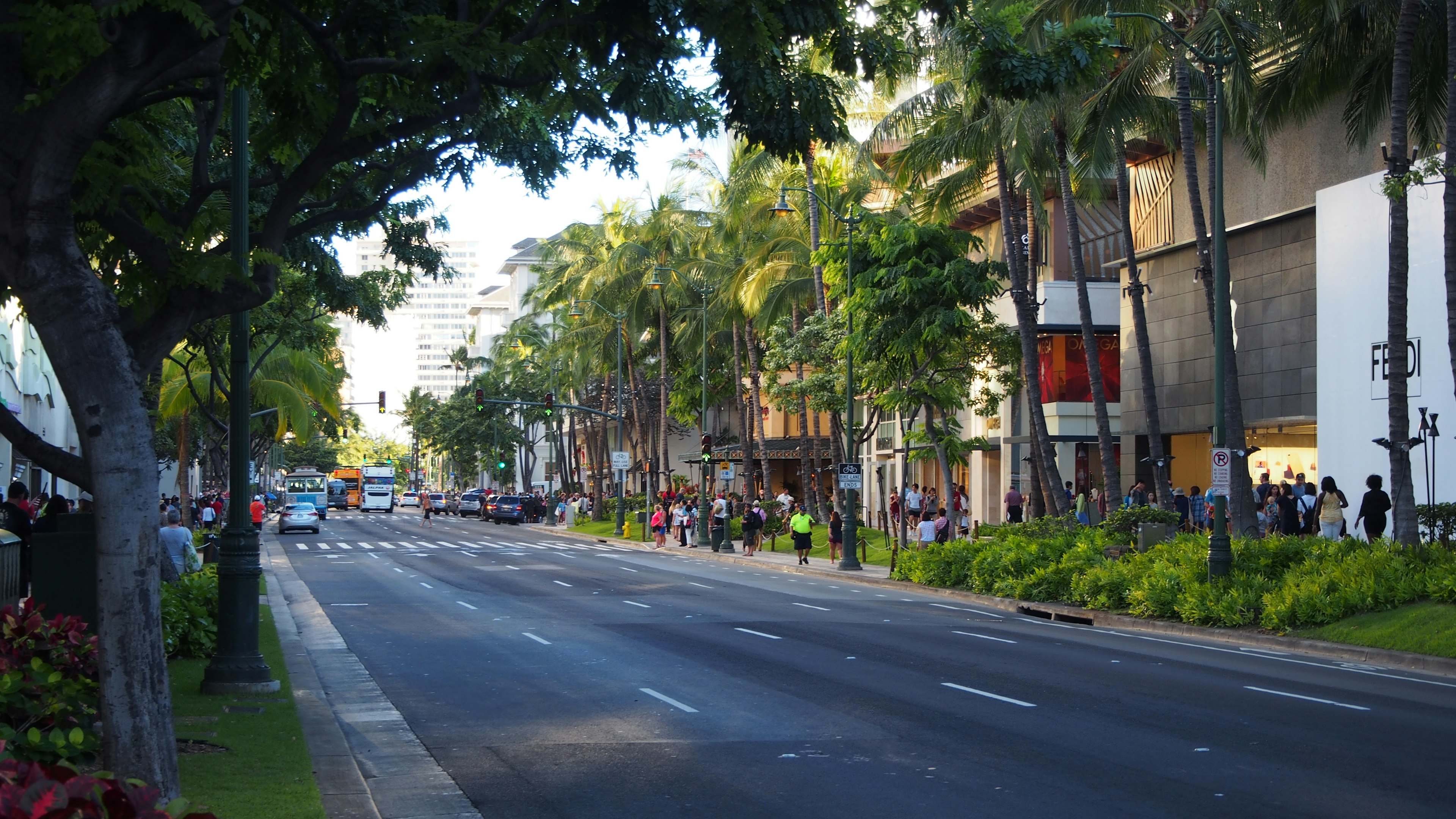 Eine Straße mit Palmen und Menschen unter einem blauen Himmel