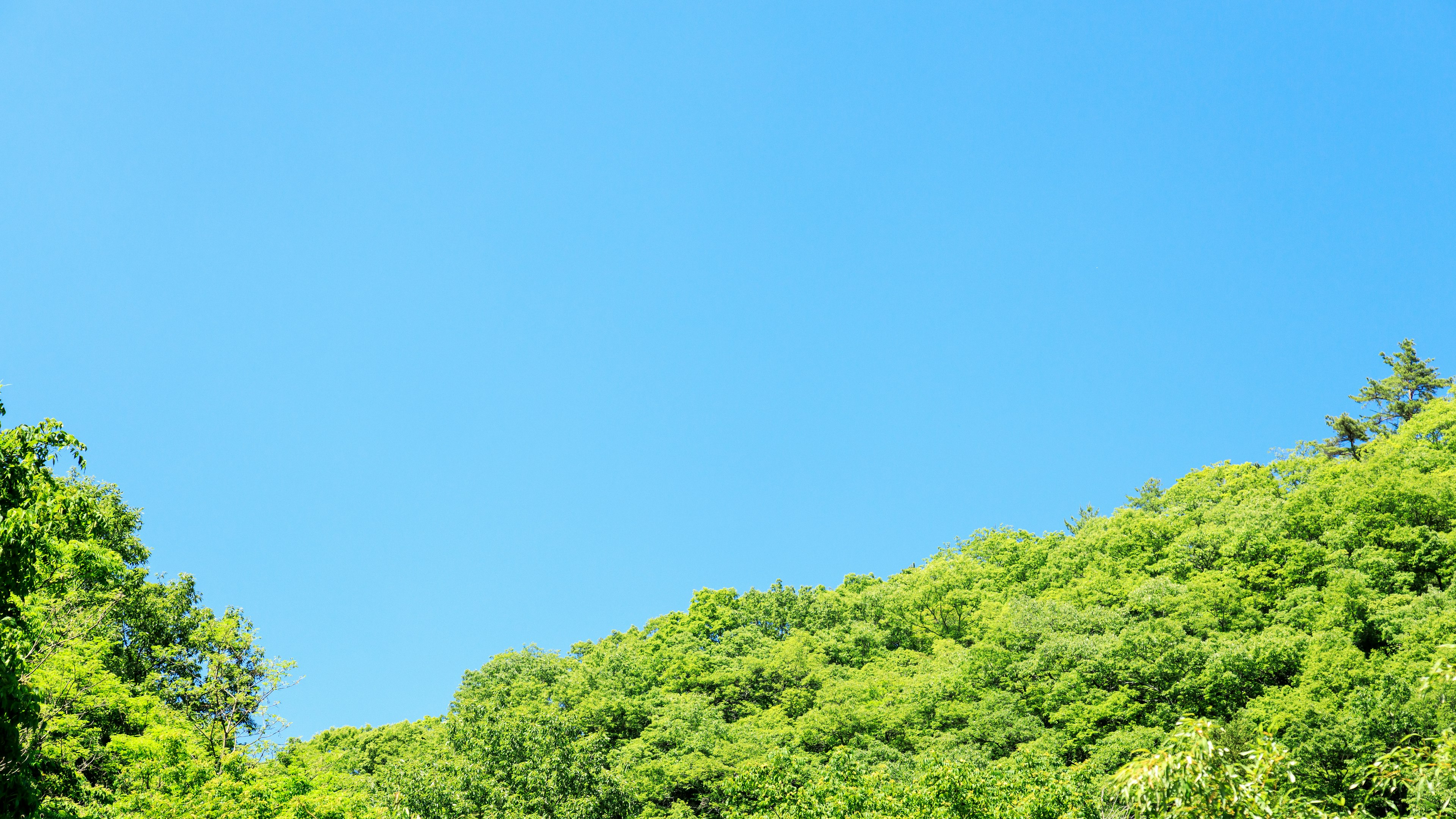 绿山与晴朗蓝天的风景