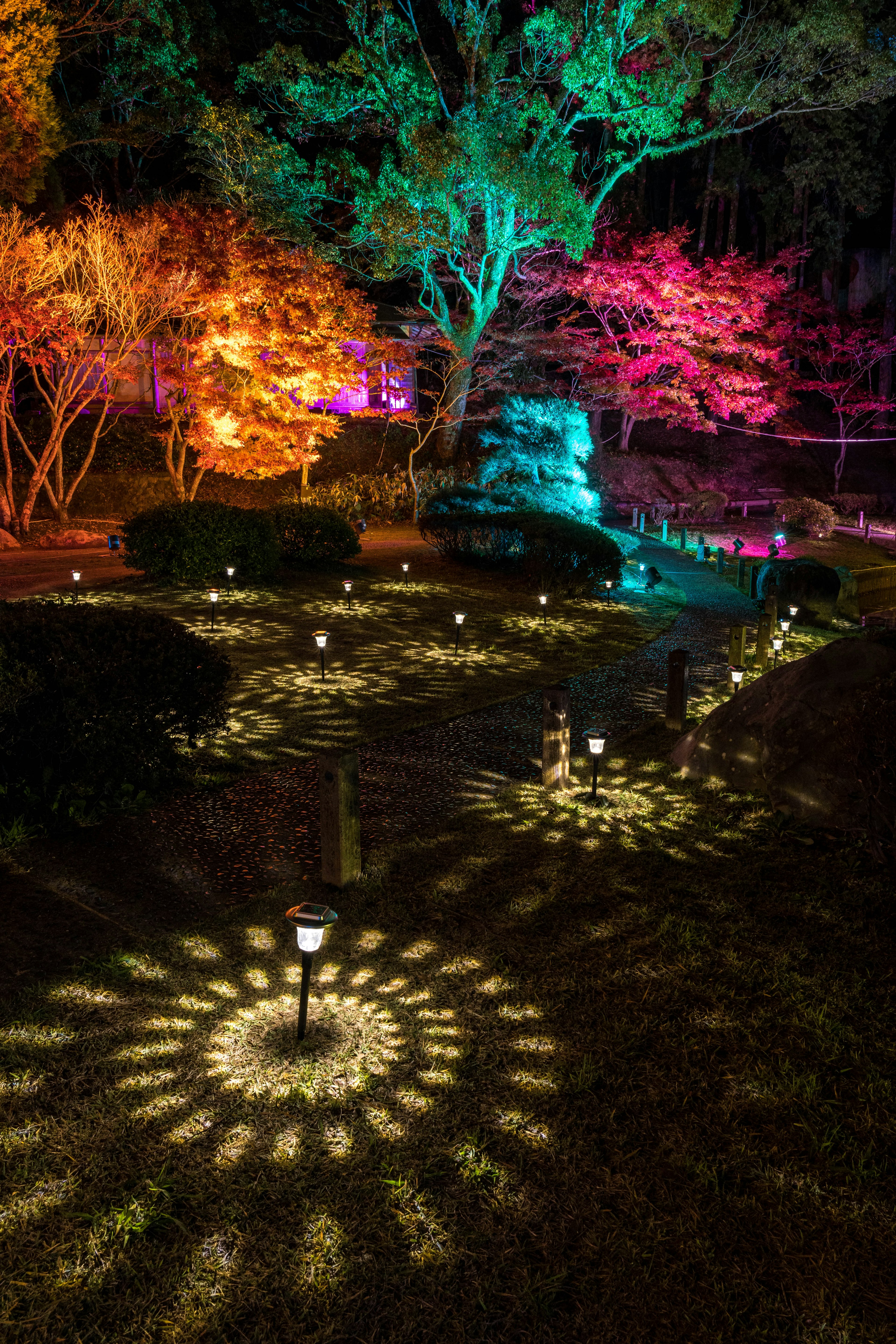 Escena de parque iluminada coloridamente con árboles vibrantes y patrones de luz intrincados