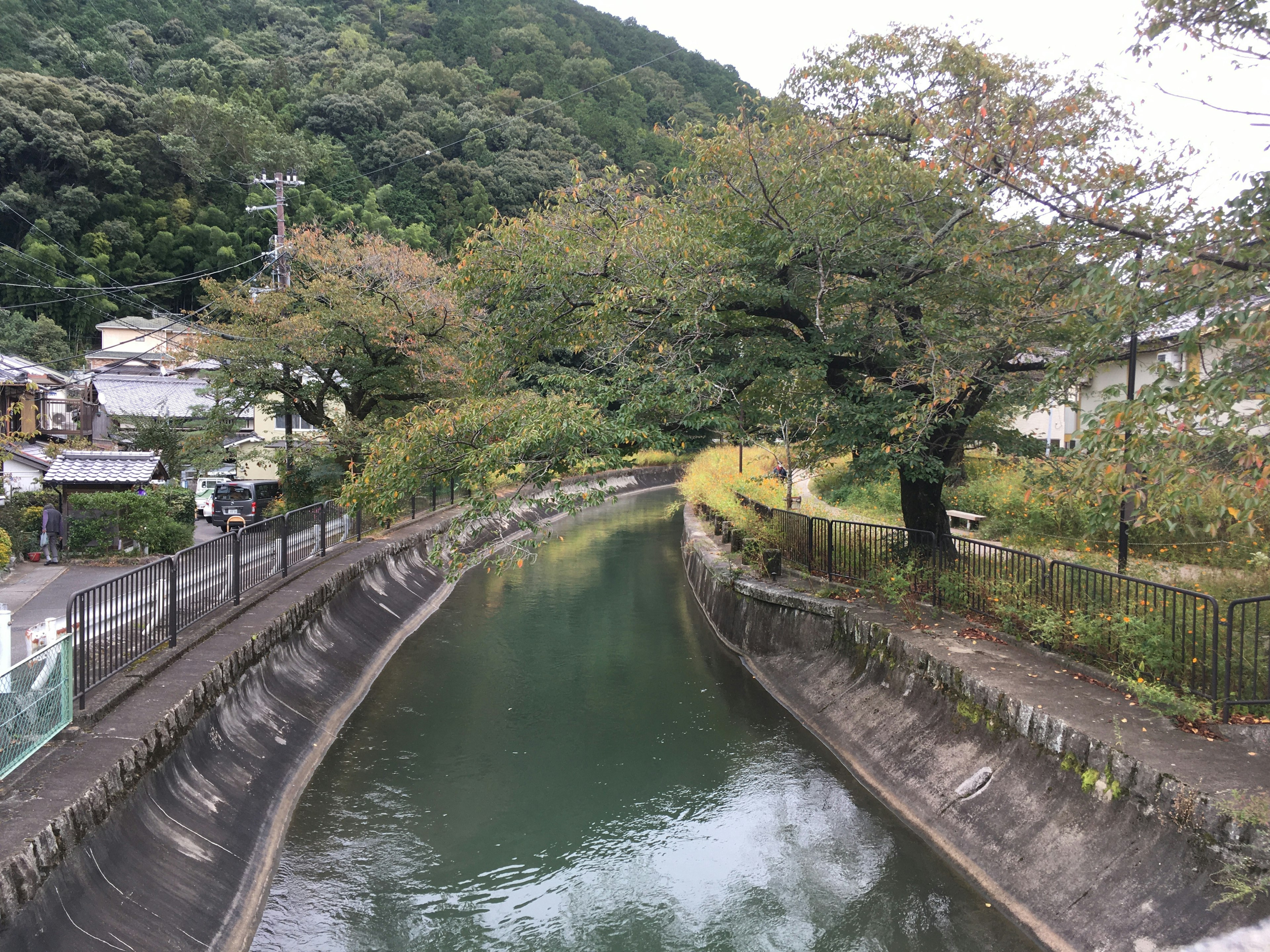 宁静的河流被树木环绕乡村风景