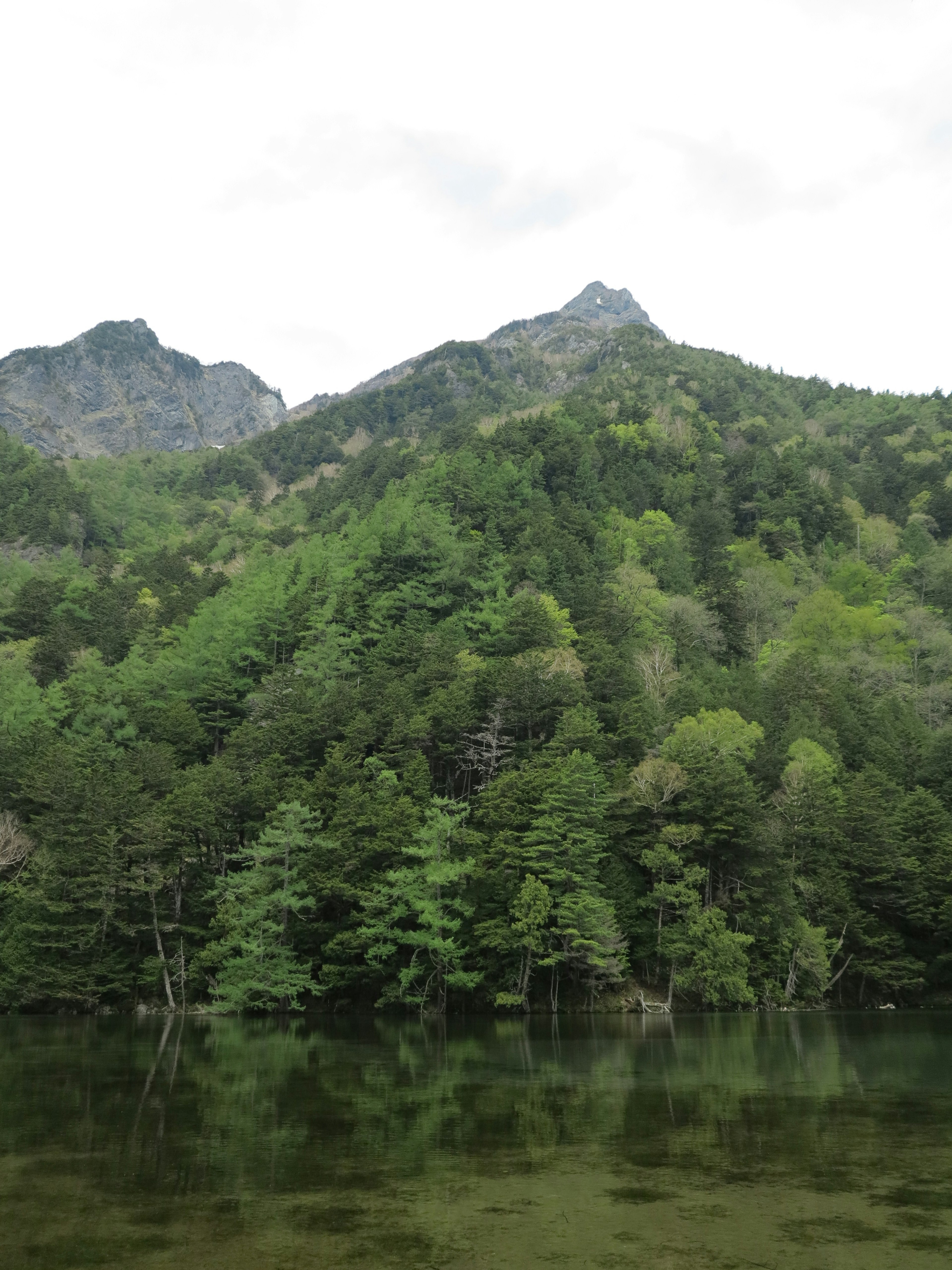 緑豊かな山々と静かな湖の風景