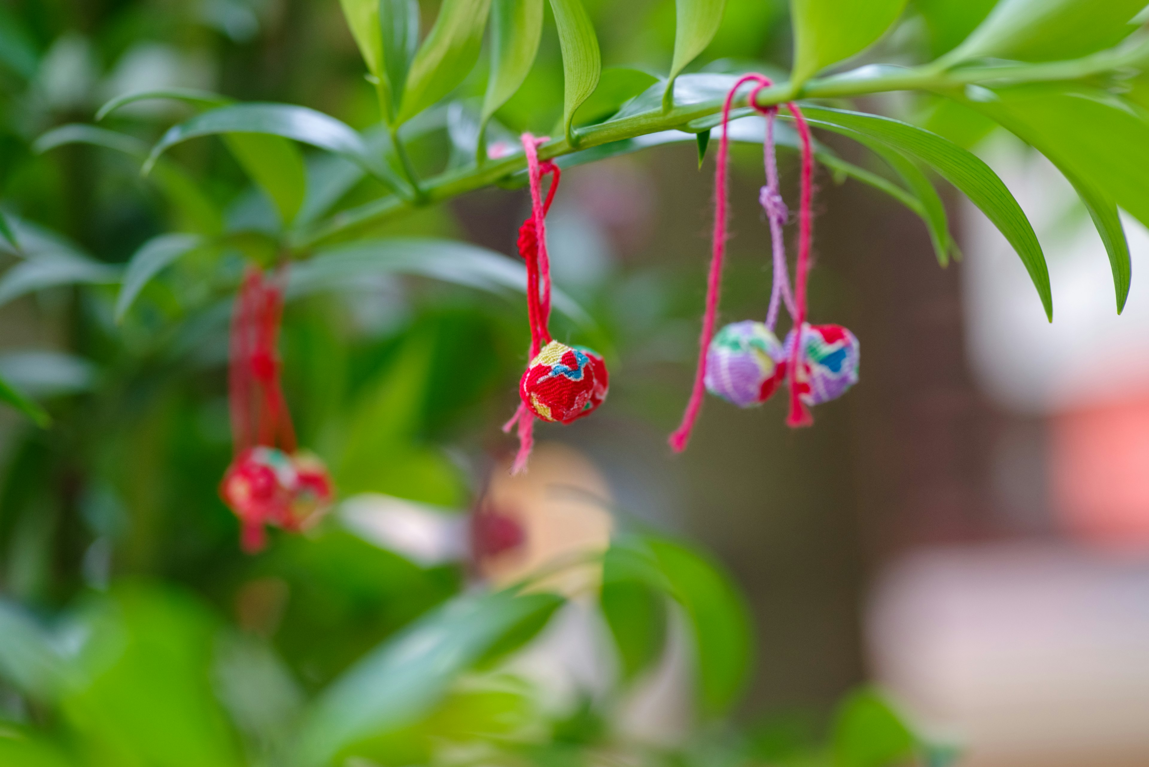 Colorful decorative balls hanging among green leaves