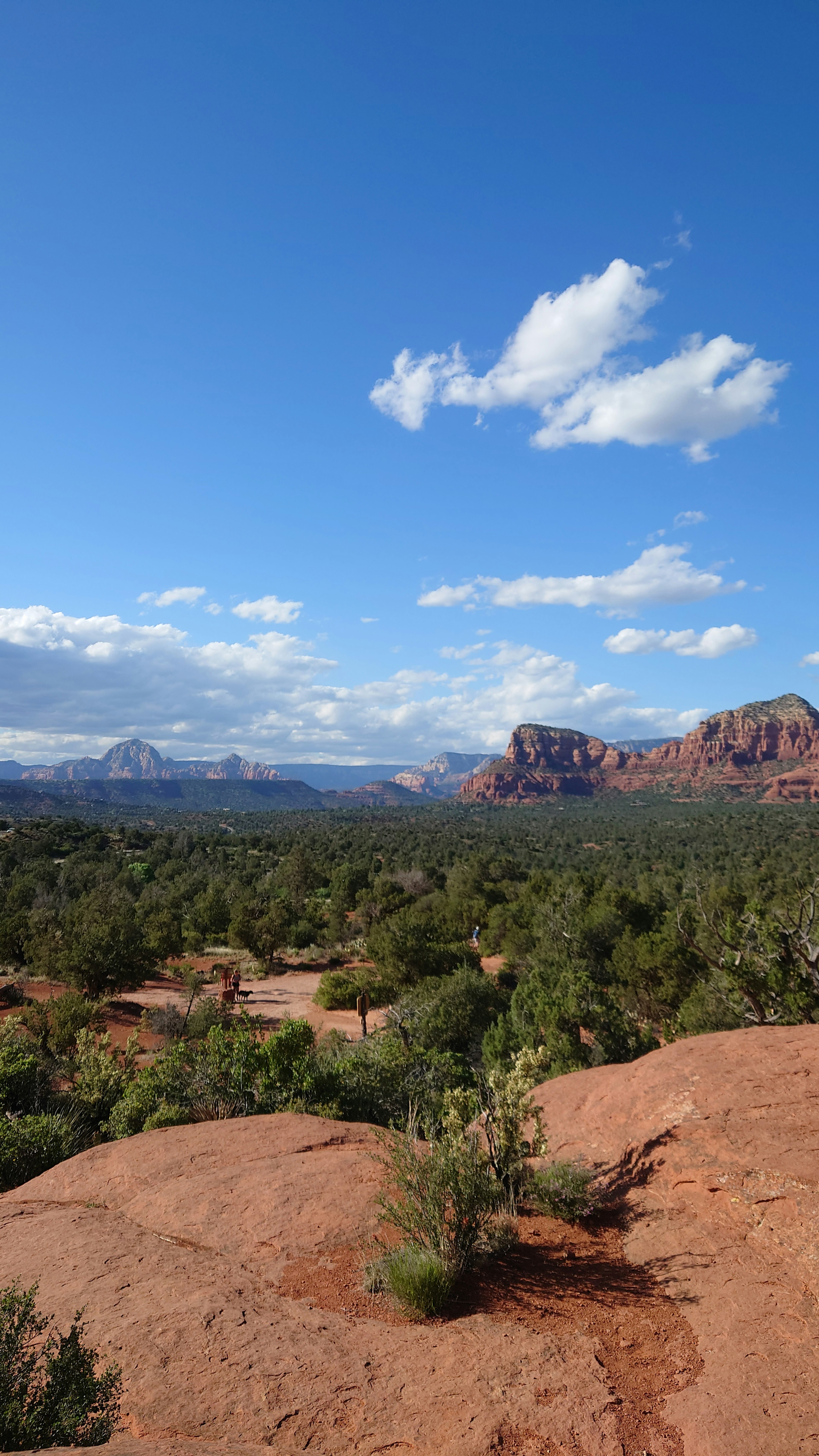 Vue panoramique sur les roches rouges et le ciel bleu à Sedona