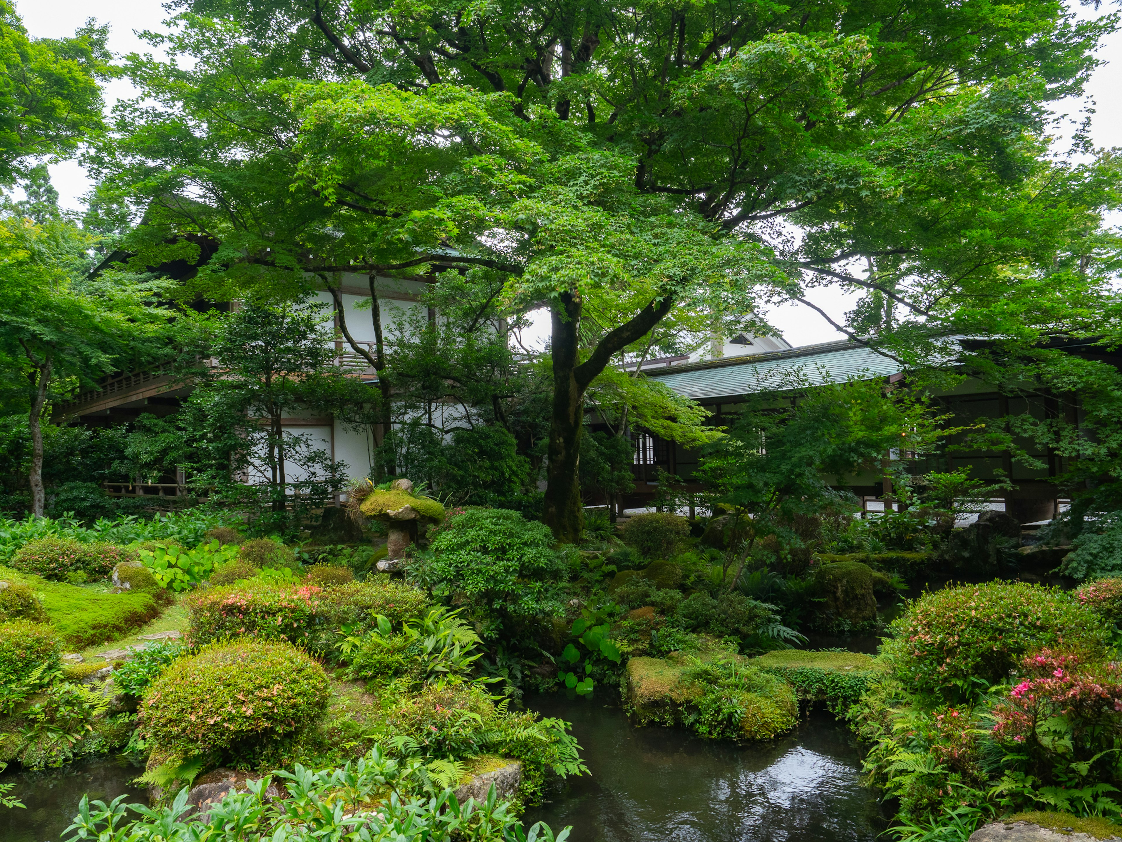 Giardino lussureggiante con un edificio bianco circondato da vegetazione