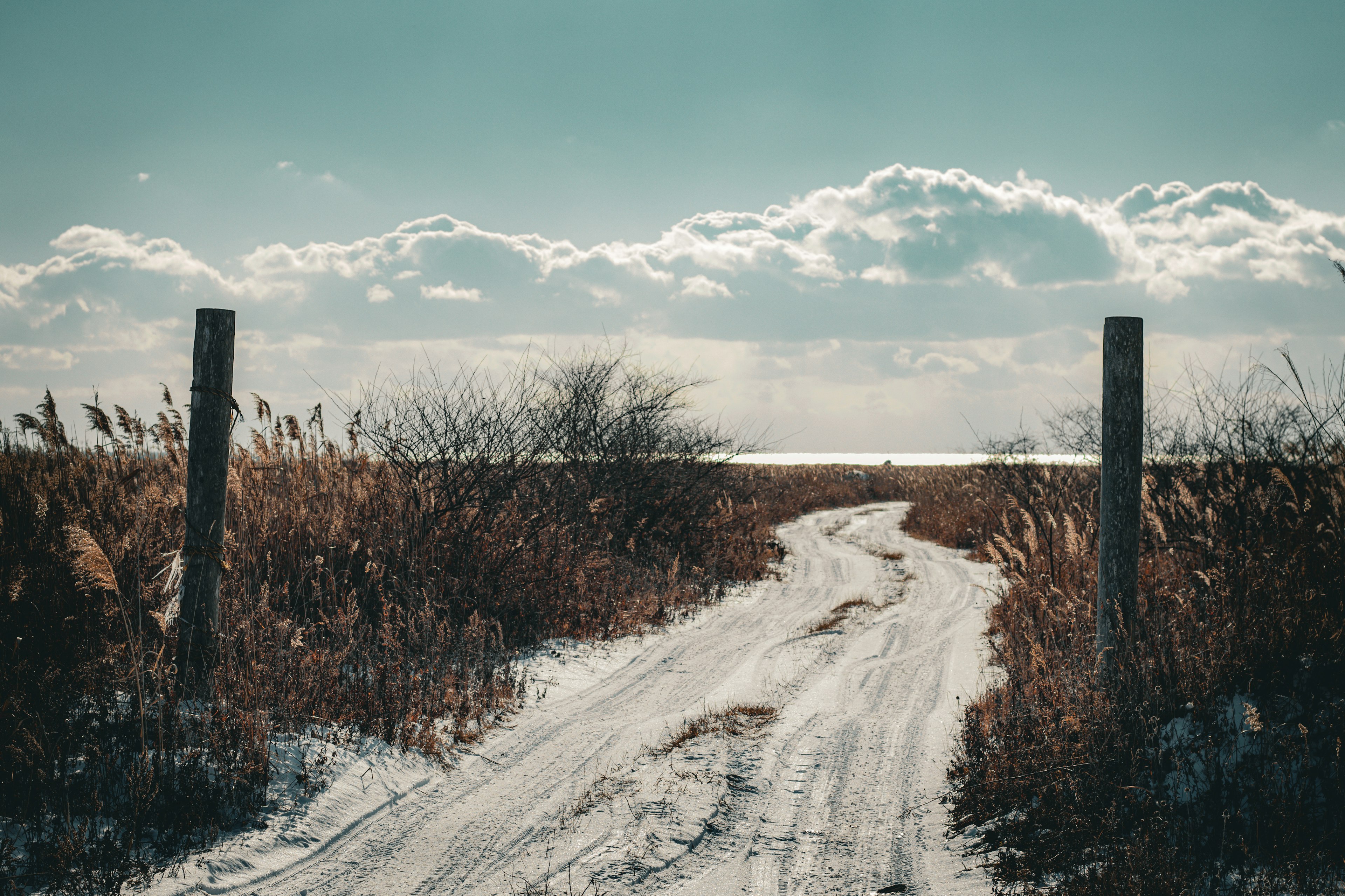 Snowy path leading through tall grass and clouds