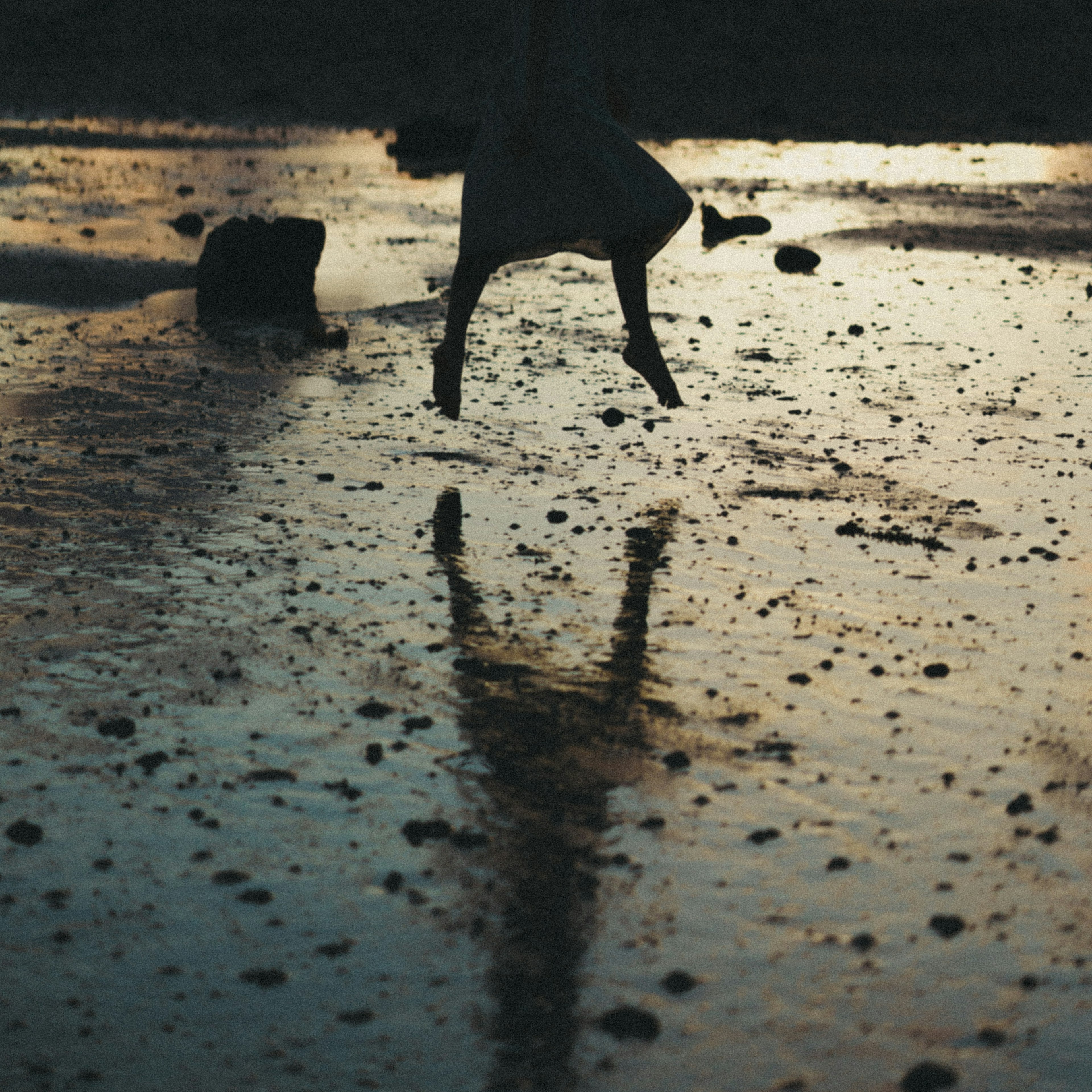 Reflet dans l'eau avec des pierres et une silhouette