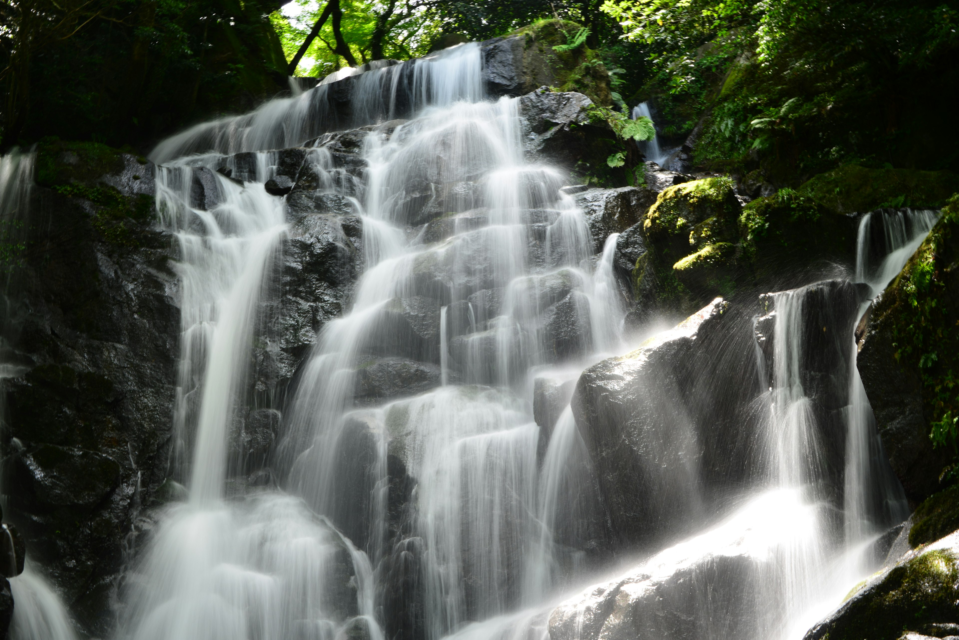 Gambar air terjun yang indah mengalir melalui hutan hijau yang lebat