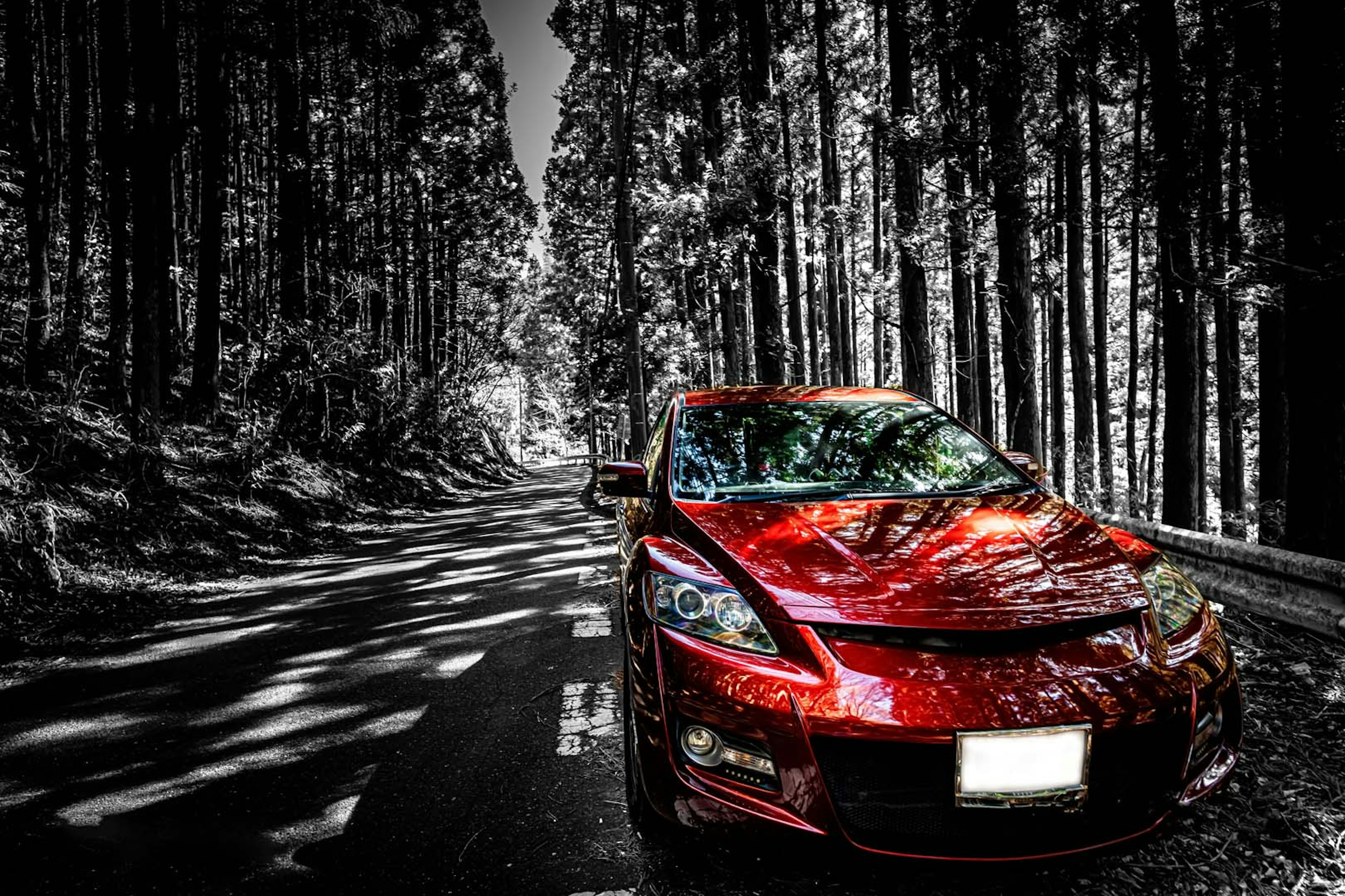 Coche rojo estacionado en una carretera rodeada de un bosque verde