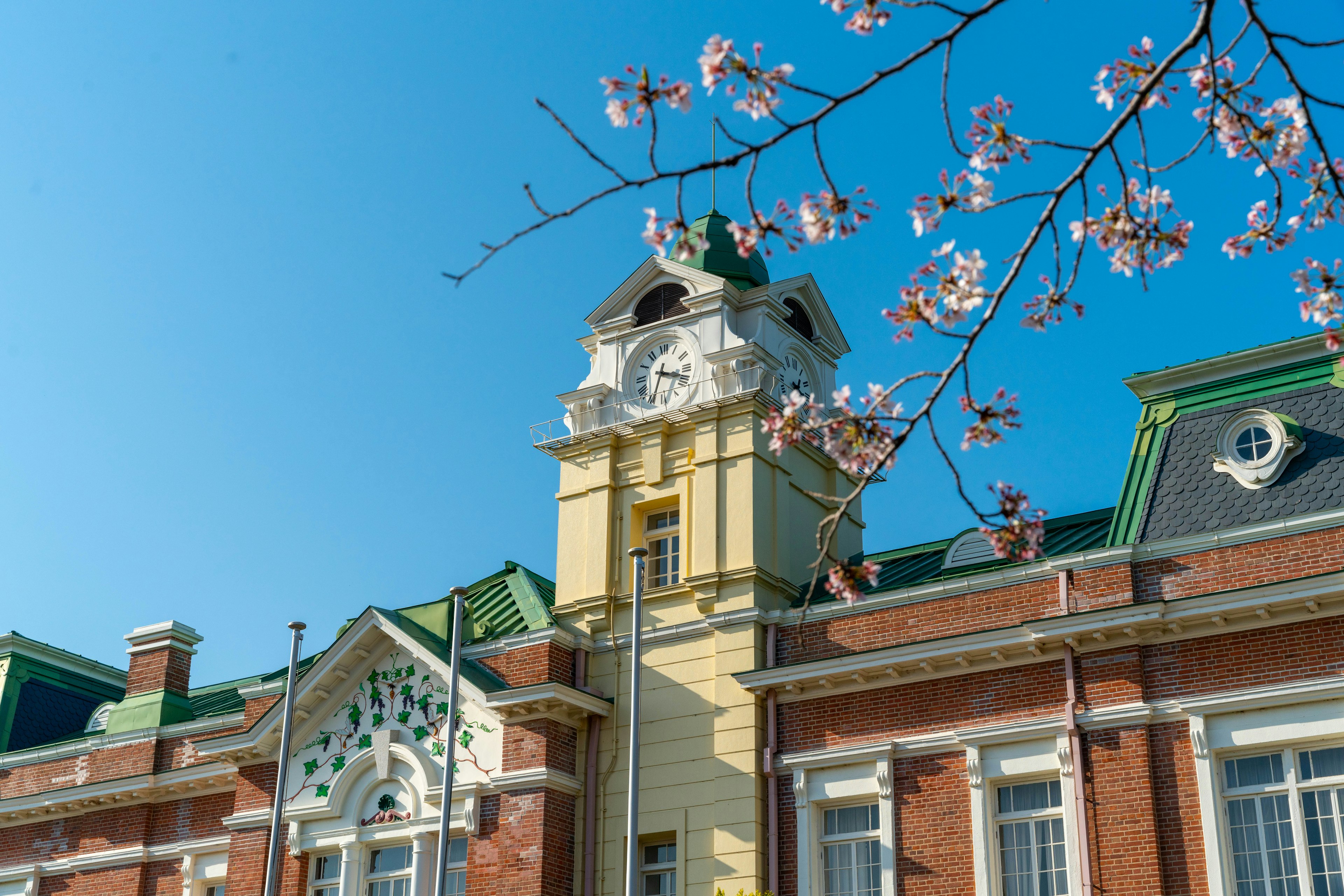 Façade d'un bâtiment historique sous un ciel bleu avec des cerisiers en fleurs