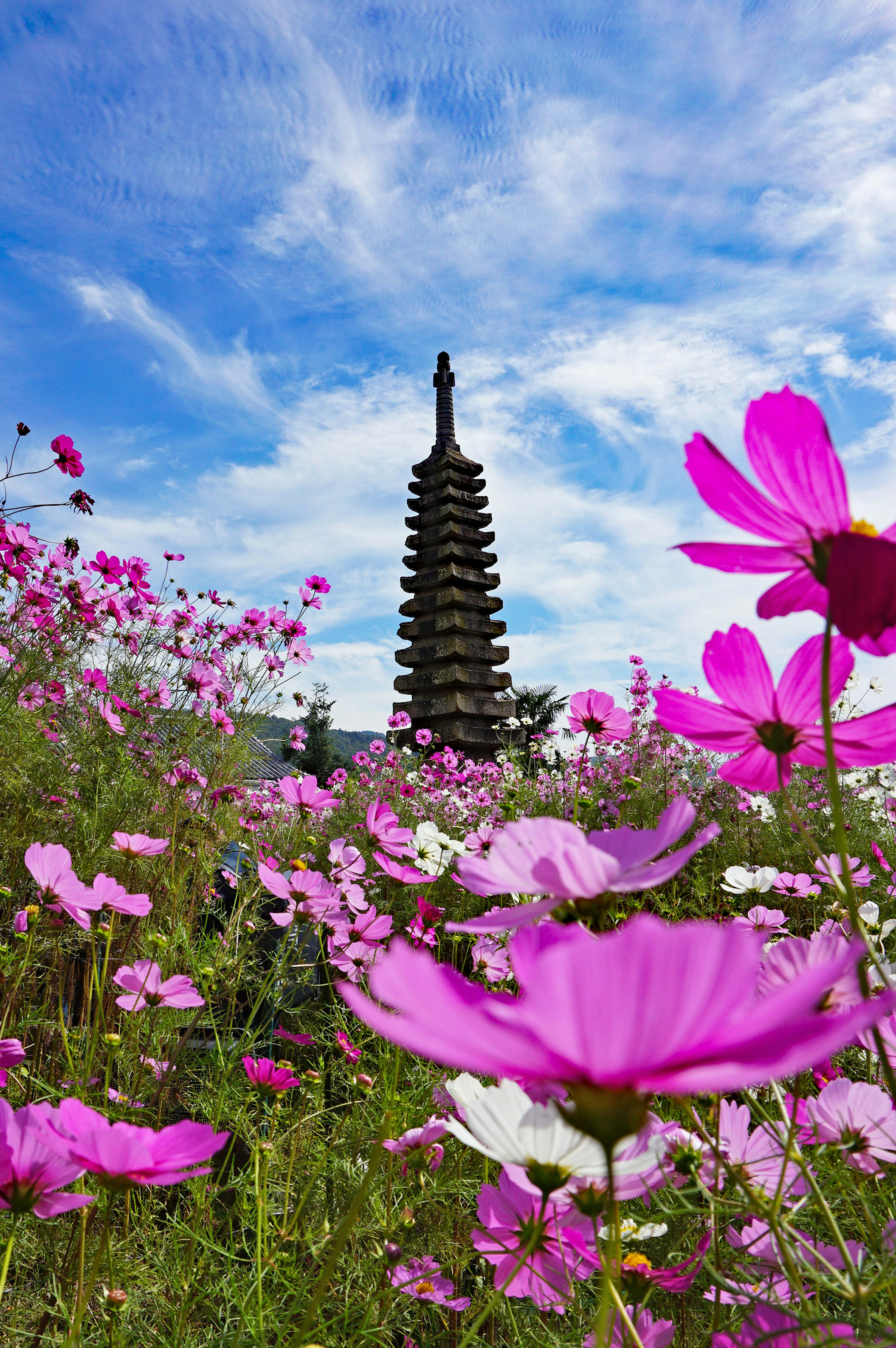 Tour sous un ciel bleu entourée de fleurs colorées