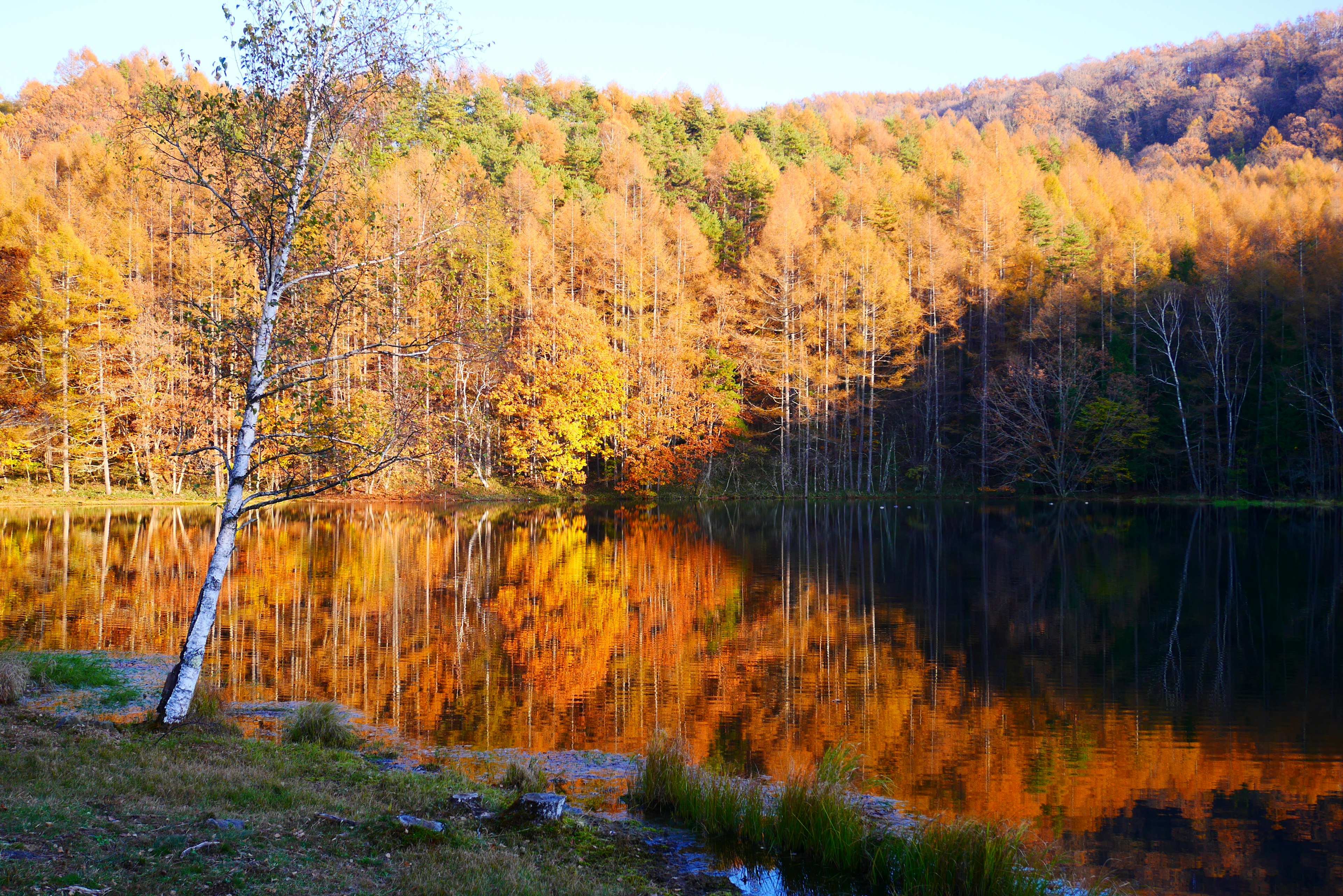 秋の色に染まった森と湖の美しい風景