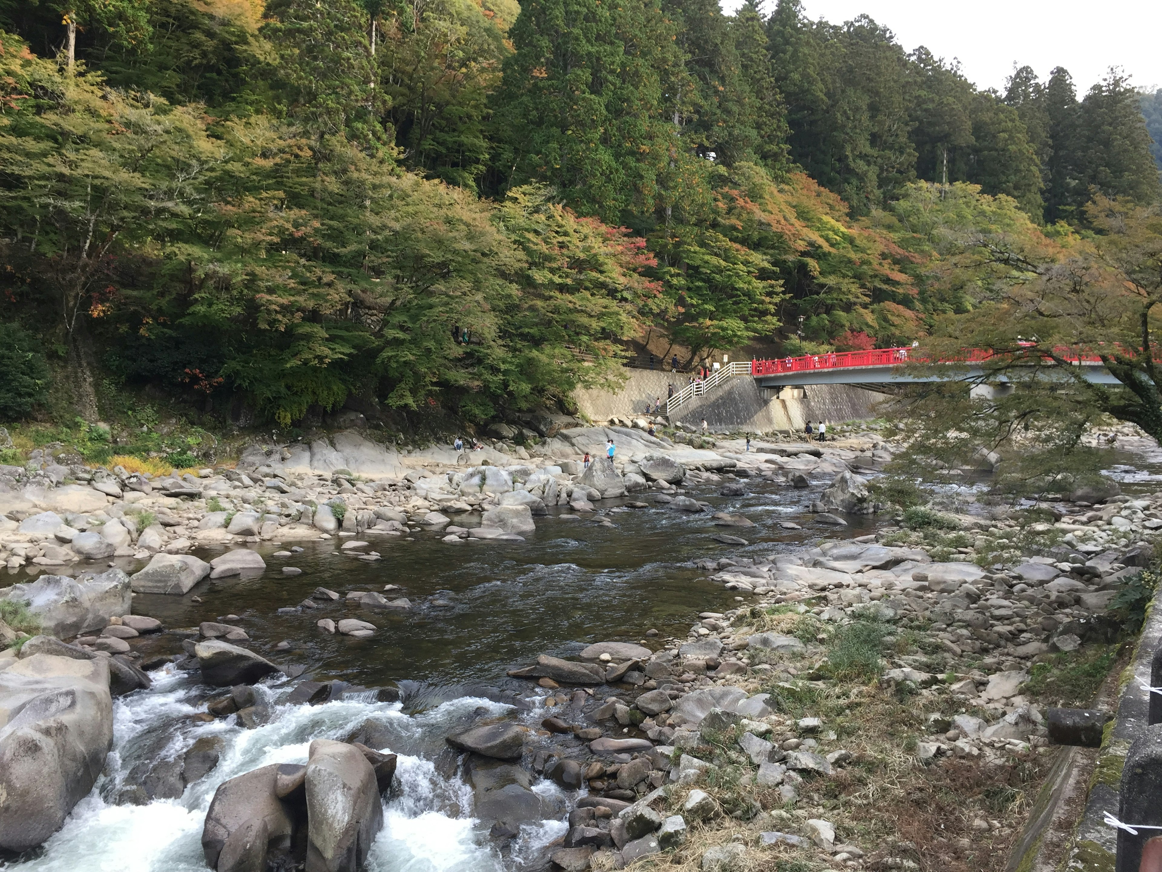 風景如畫的河流流動的水和岩石紅色橋和綠色樹木