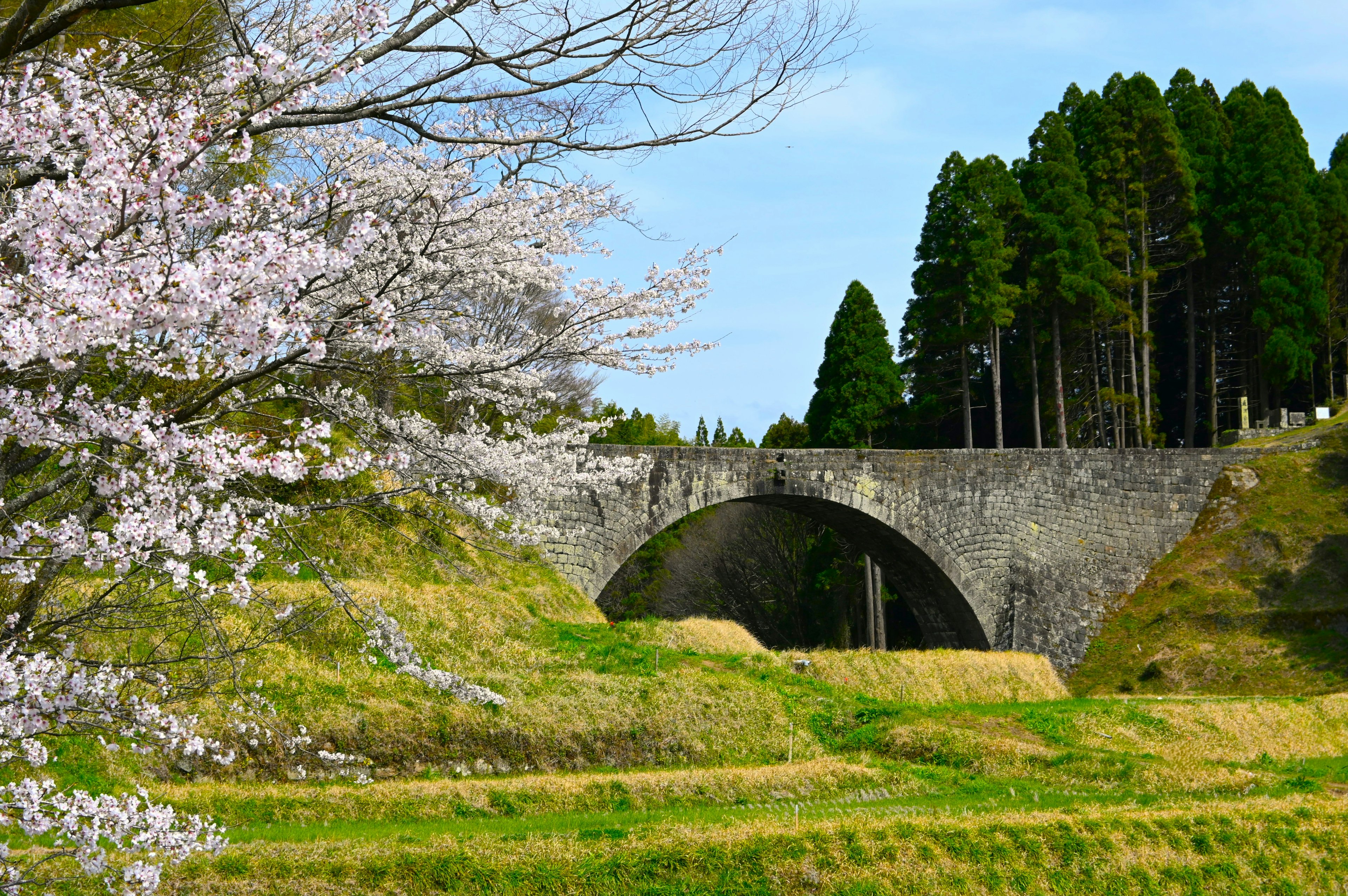 Bellissimo paesaggio con alberi di ciliegio e un antico ponte in pietra