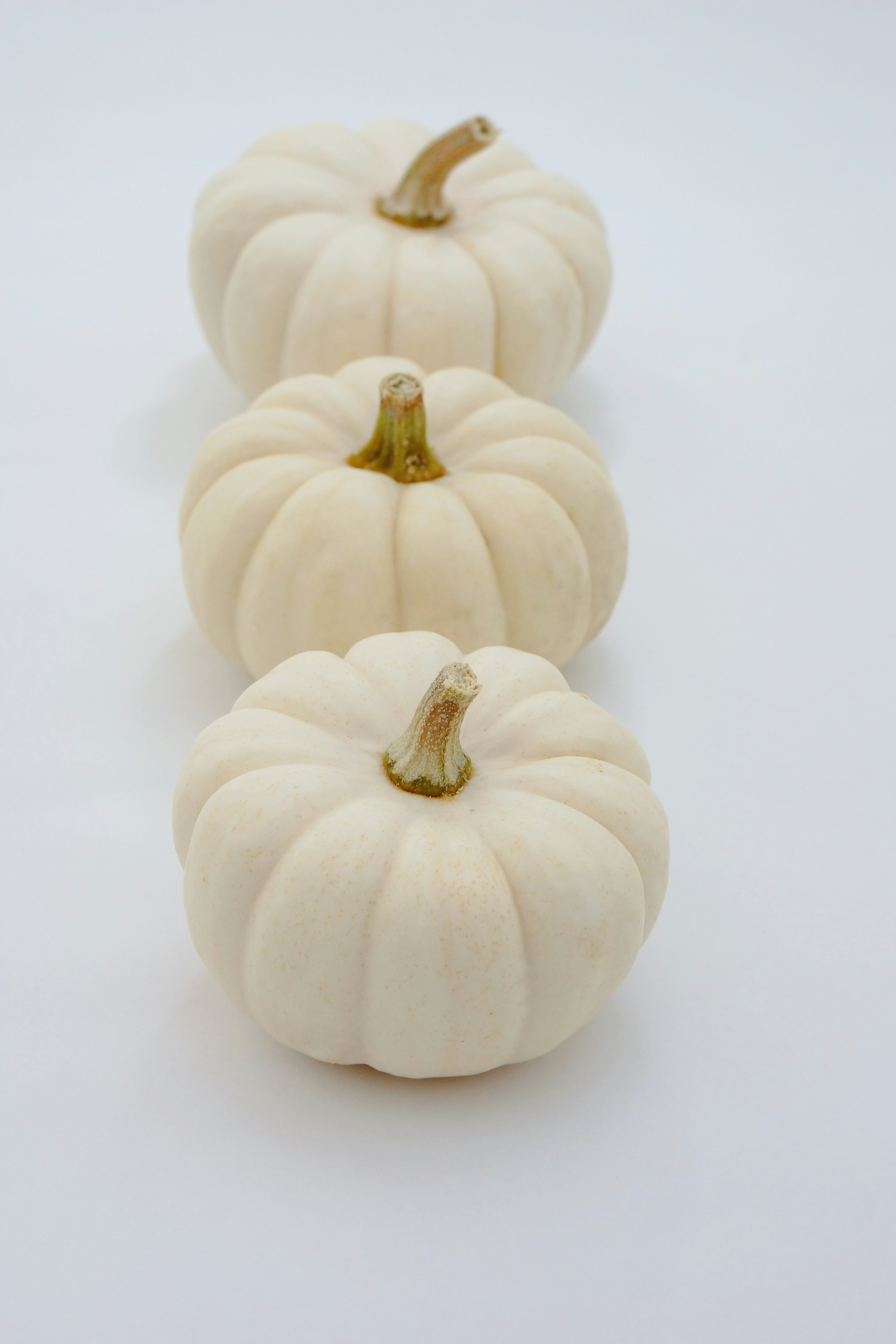 Three white pumpkins arranged in a row on a light background